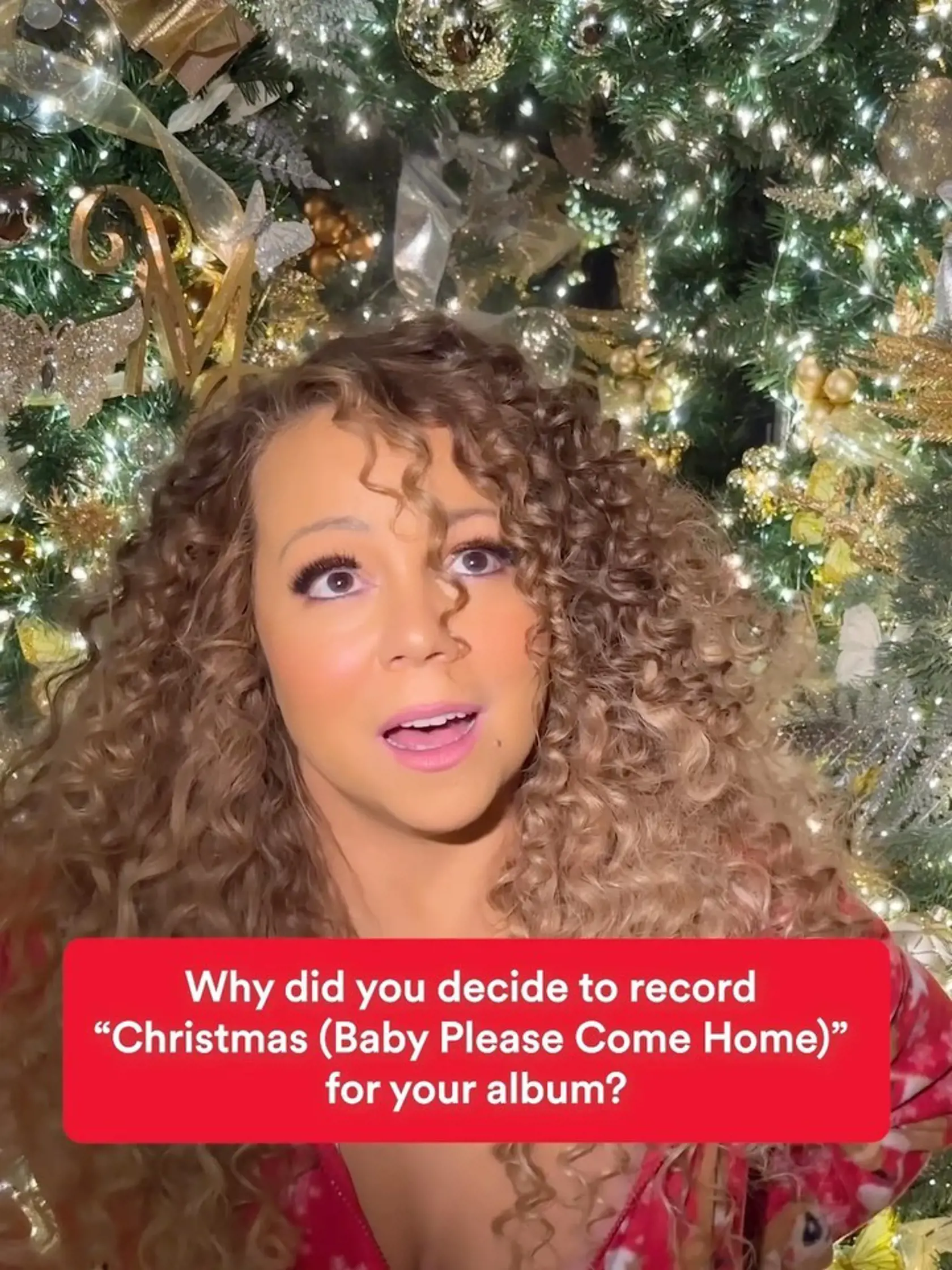 Kráľovná Vianoc Mariah Carey zostala verná zlatým dekoráciám, ktoré rozžiarili celý jej domov.