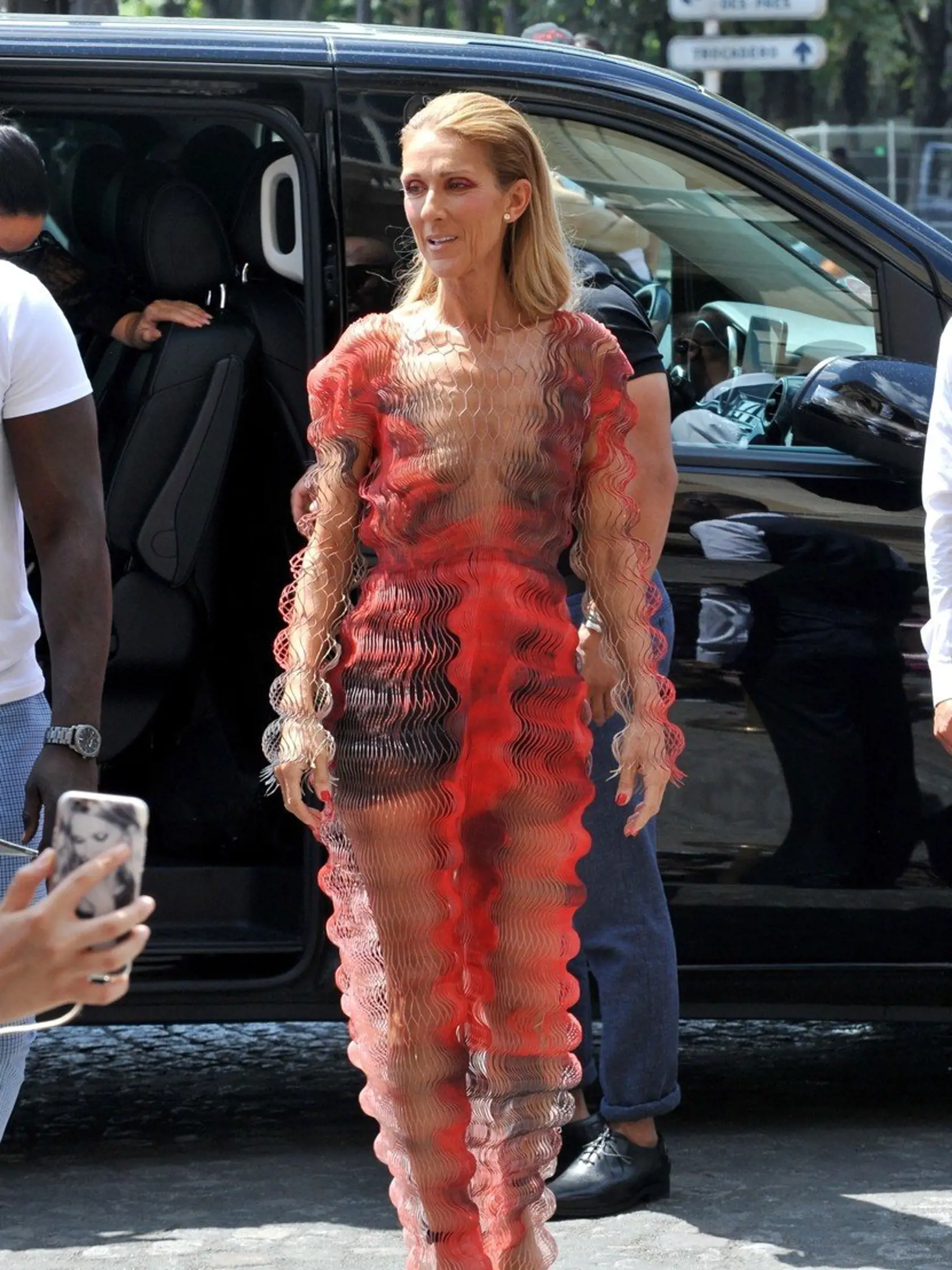 Celine Dion v Paríži.