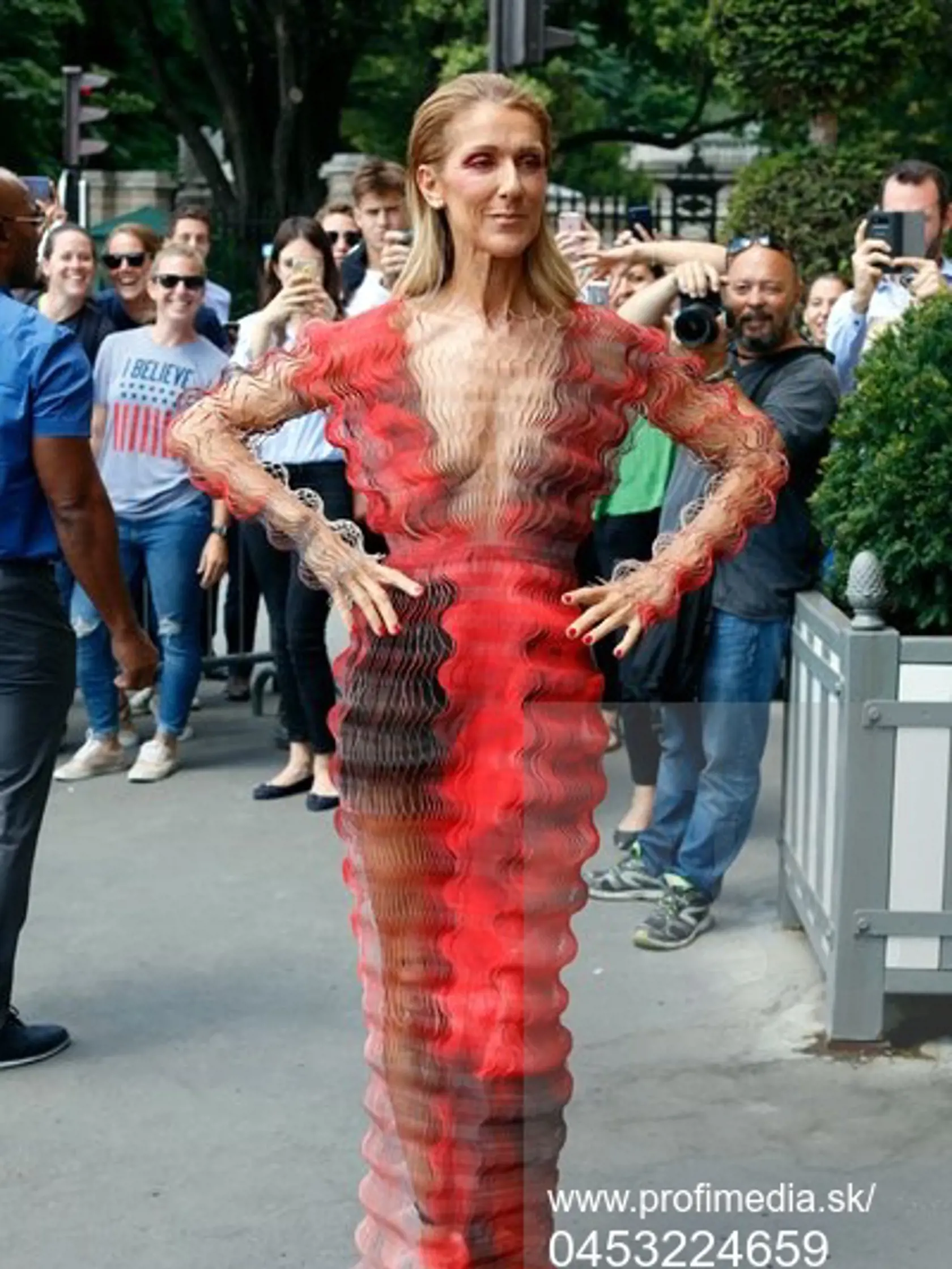 Celine Dion v Paríži.