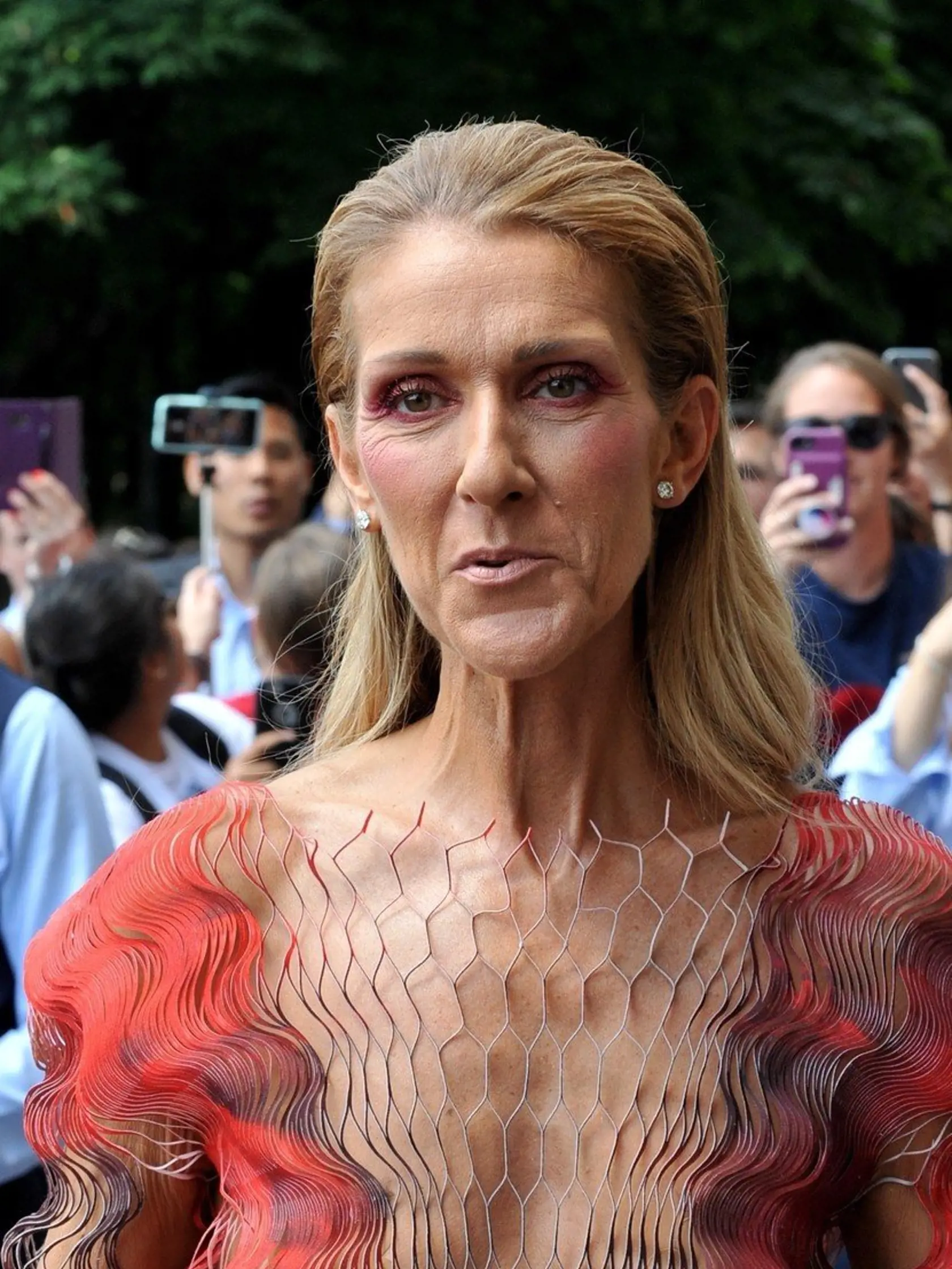 Celine Dion v Paríži.