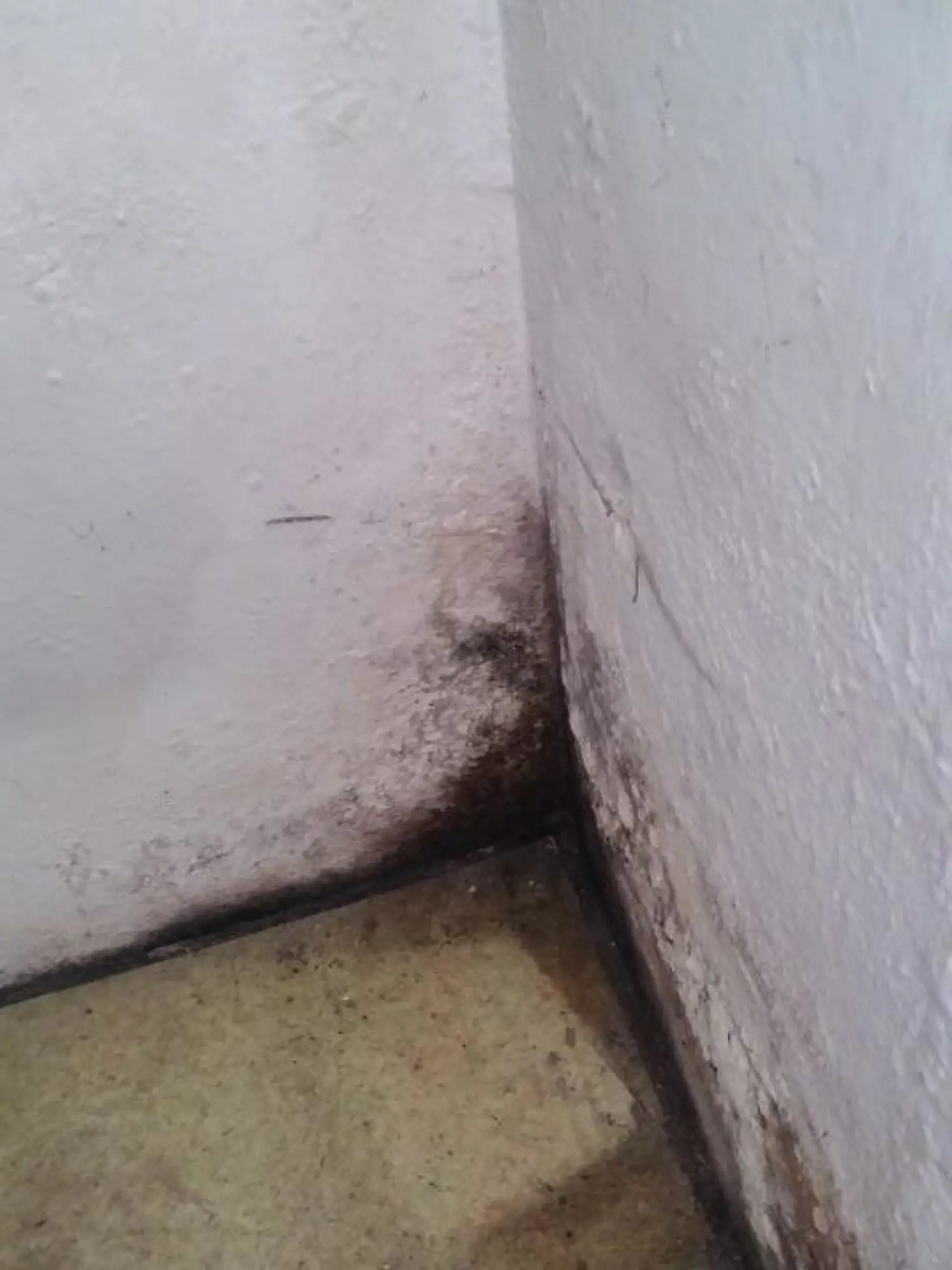 V niektorých prevádzkach chýbal základný hygienický štandard.