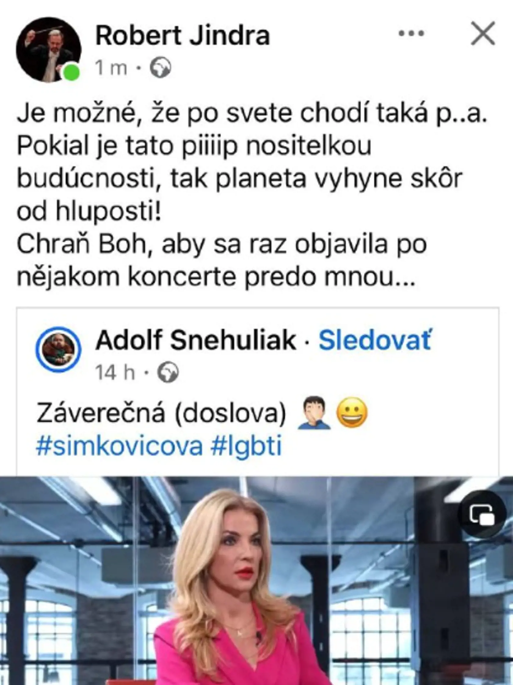 Vyjadrenia kultúrnych inštitúcií na adresu ministerky Martiny Šimkovičovej.