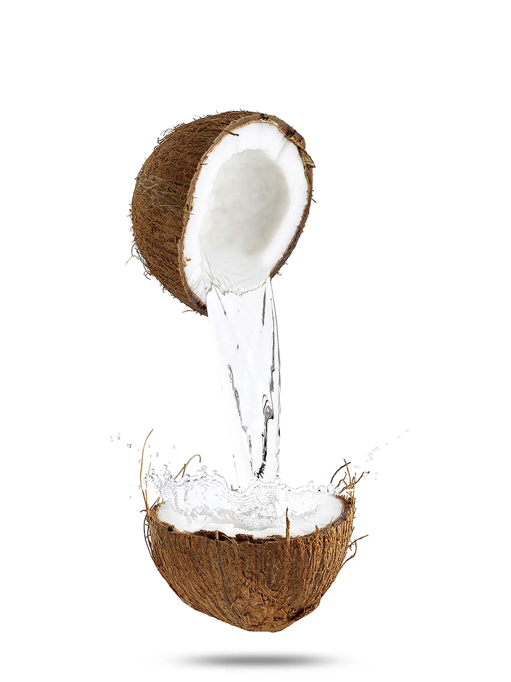 clear coconut milk with splashes pouring from one half of coconut to another. isolated on white background