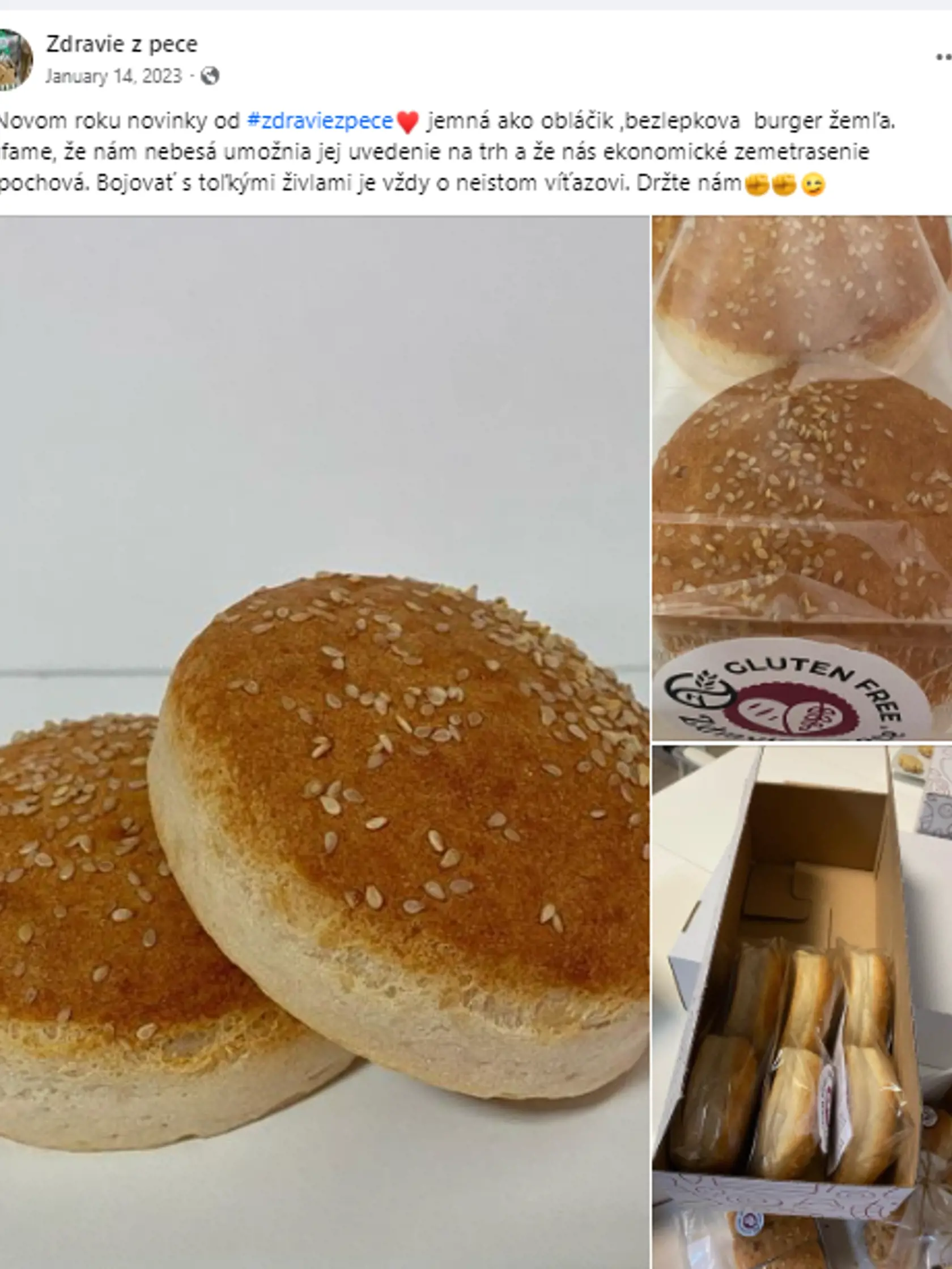 Finančné problémy naznačila firma ešte vlani v januári.