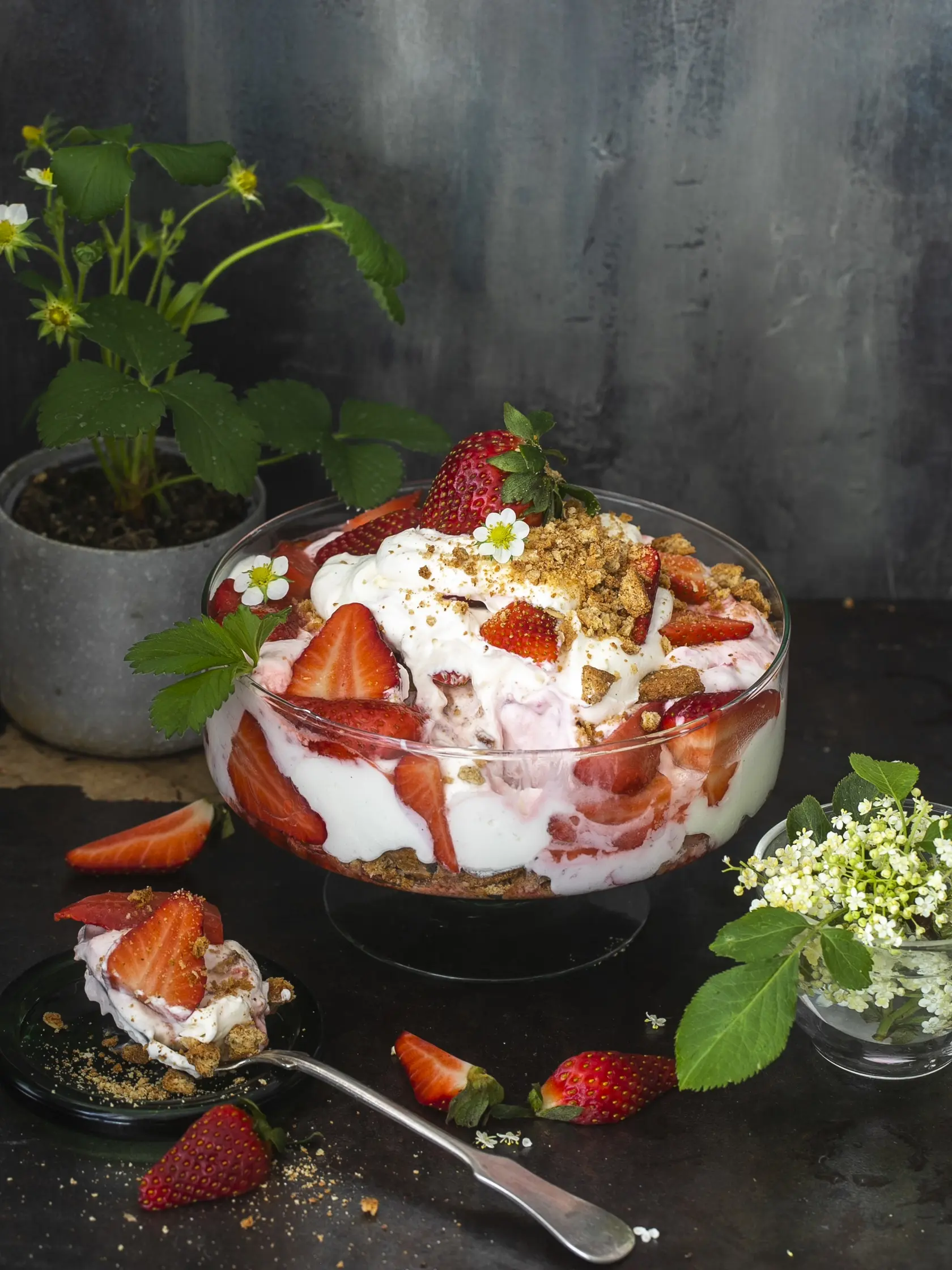 jahodový triffle

recept:
8 PORCIÍ, PRÍPRAVA 25 MINÚT + CHLADENIE
Na coulis:
• 300 g čerstvých jahôd • 100 g práškového cukru • 2 lyžice citrónovej šťavy
Na krém:
• 8 shortbread sušienok • 150 g čerstvých jahôd • 50 g práškového cukru
• 180 g tučného jemného tvarohu • 1 lyžička vanilkovej pasty
• 300 ml šľahačkovej smotany
1. Do hrnca nasypte umyté jahody nakrá- jané na polovicu. Pridajte cukor, citrónovú šťavu a na strednej teplote varte asi 10 minút. Šťav
