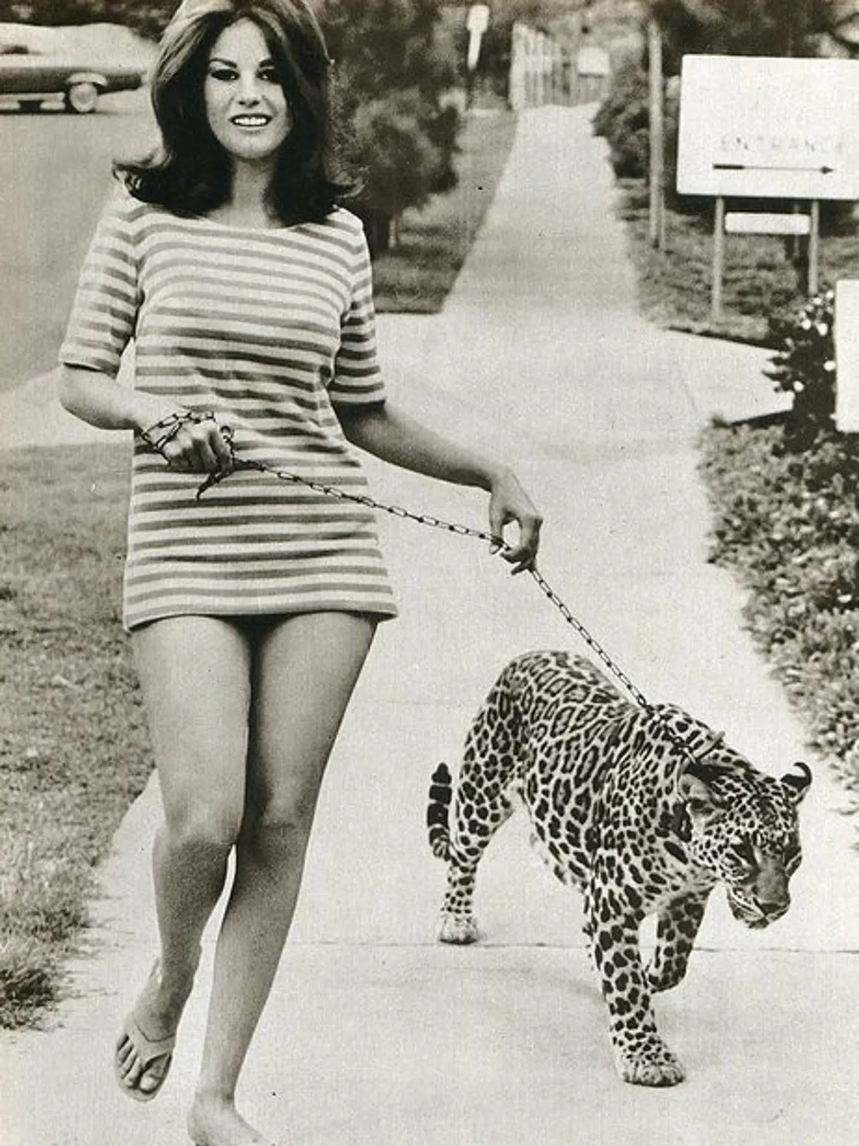 Herečka Lana Wood