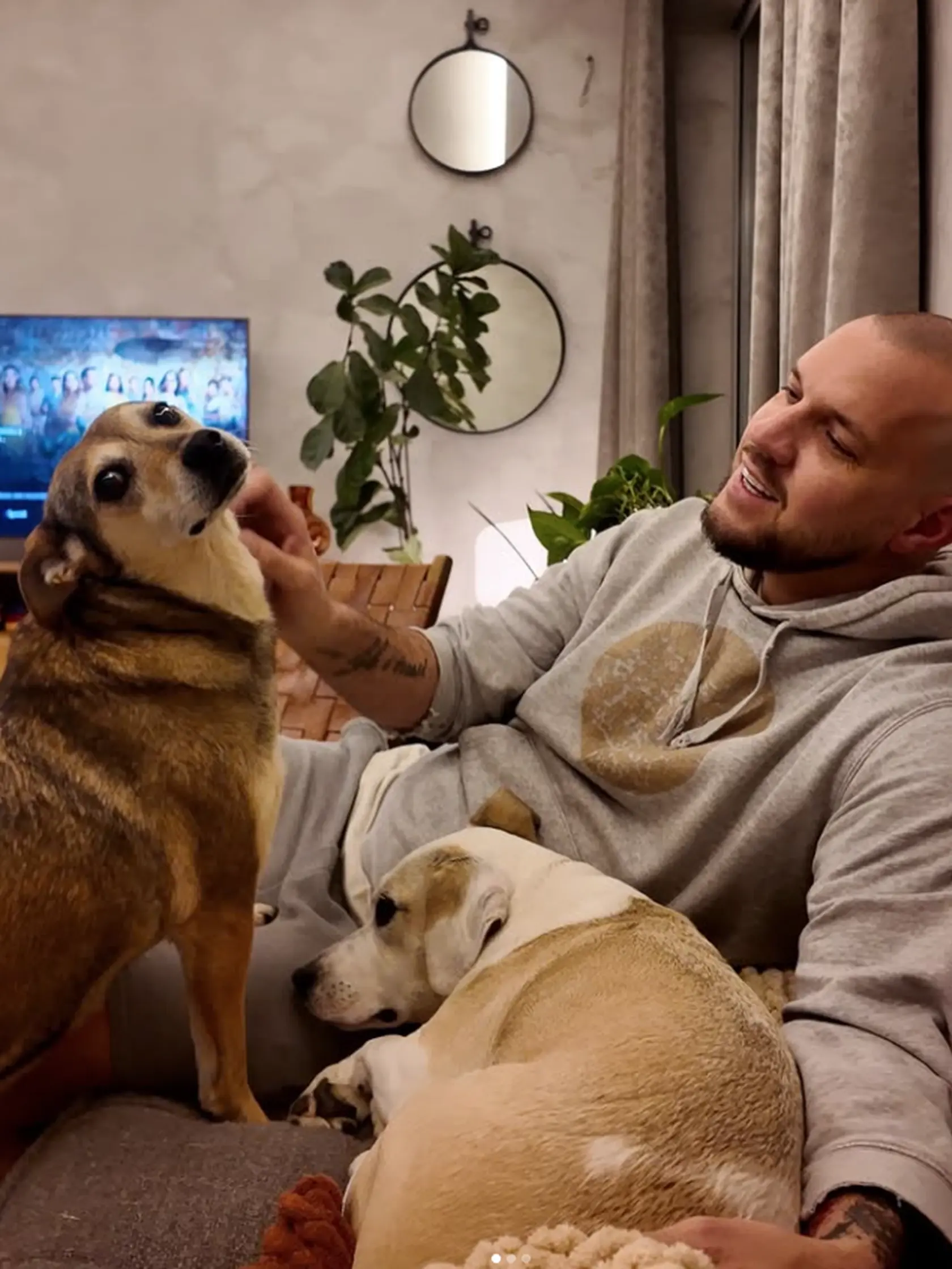 Milú novinku oznámil poslanec Progresívneho Slovenska Michal Sabo. „Hádajte, koho sme oficiálne adoptovali? Prišla do dočasnej starostlivosti a veľmi skoro bolo rozhodnuté, že ostane. Po tomto týždni je to už potvrdené podpisom adopčnej zmluvy. Daisy je u nás 6 týždňov,“ potešil sa poslanec novému „členovi“ rodiny.