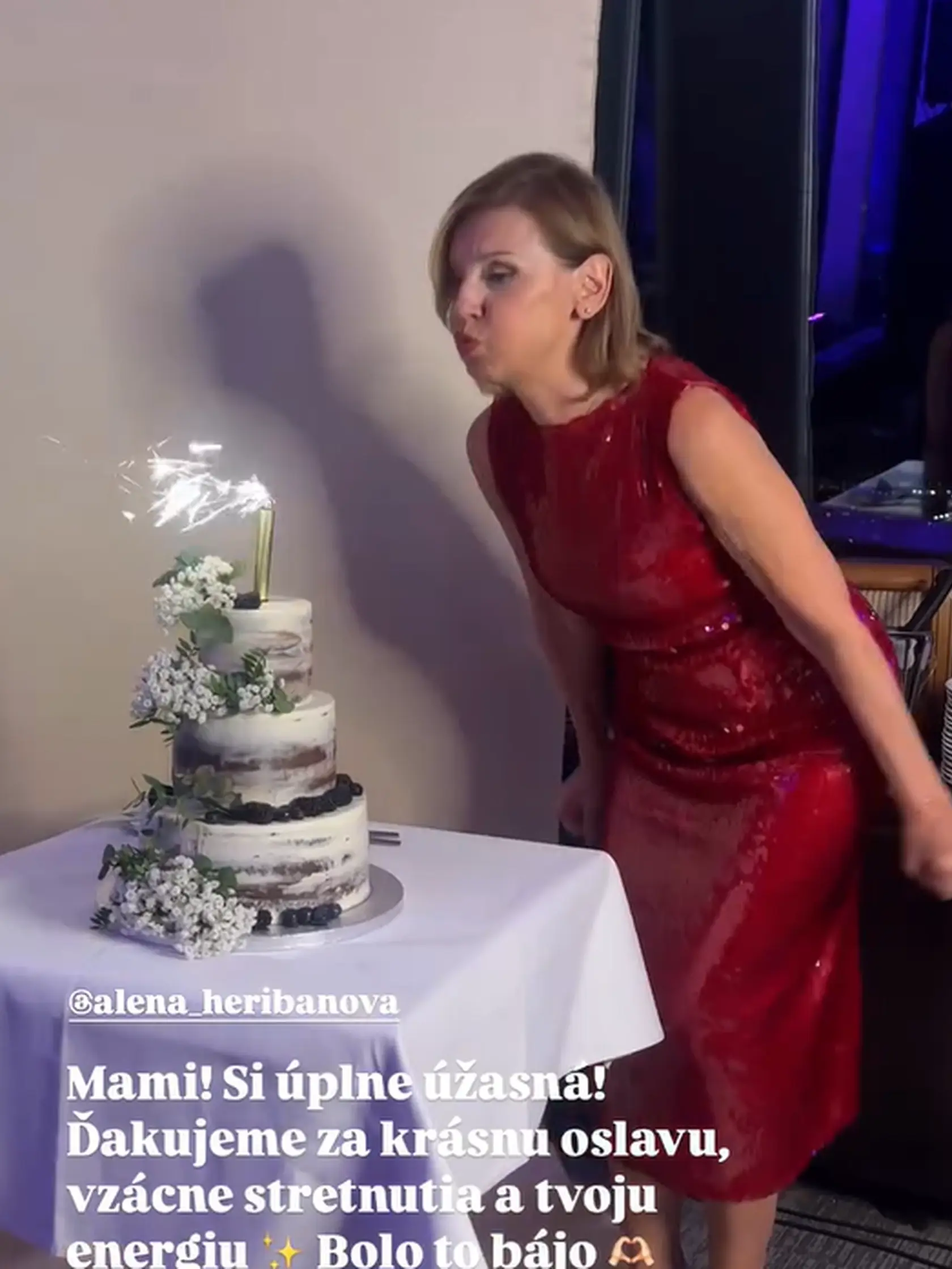 Veľkolepá oslava 70-ky Aleny Heribanovej sa konala symbolicky na Kamzíku v televíznej veži. Jubilantka dostala nádhernú poschodovú tortu.