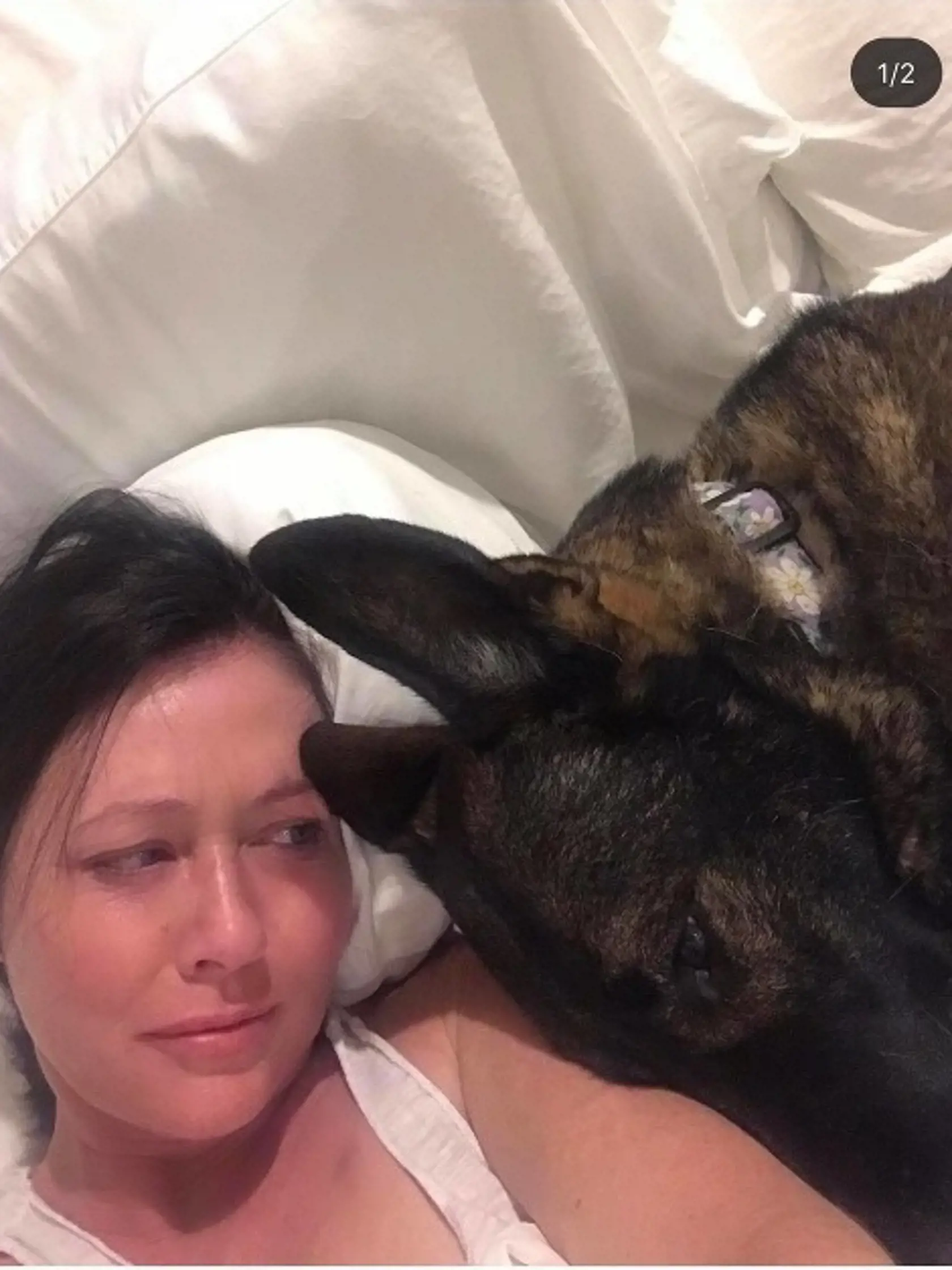 Fenka Bowie a herečka Shannen Doherty.
