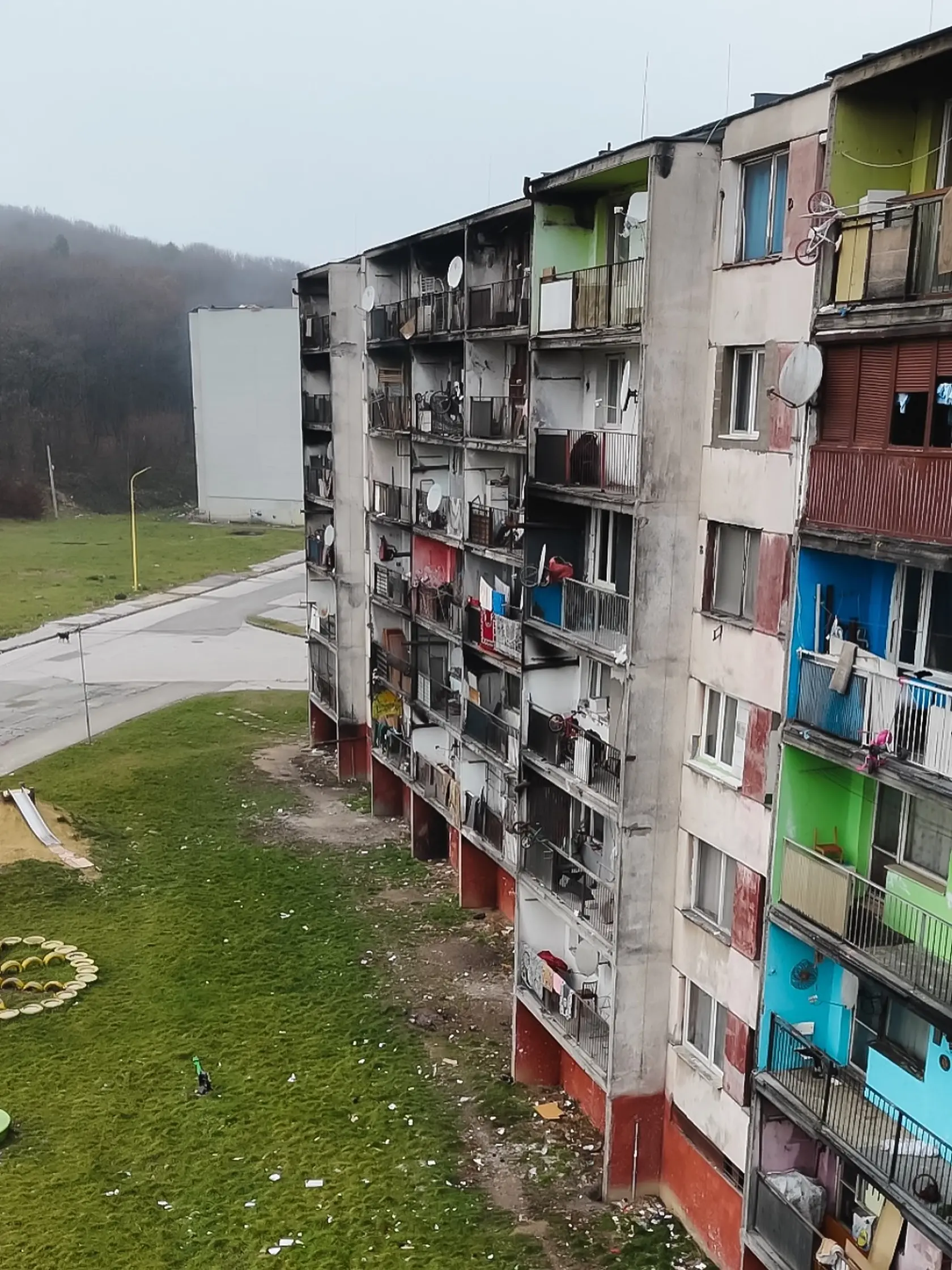 Austrálčanka Josie sa nezľakla a na sídlisku navštívila aj domácich.