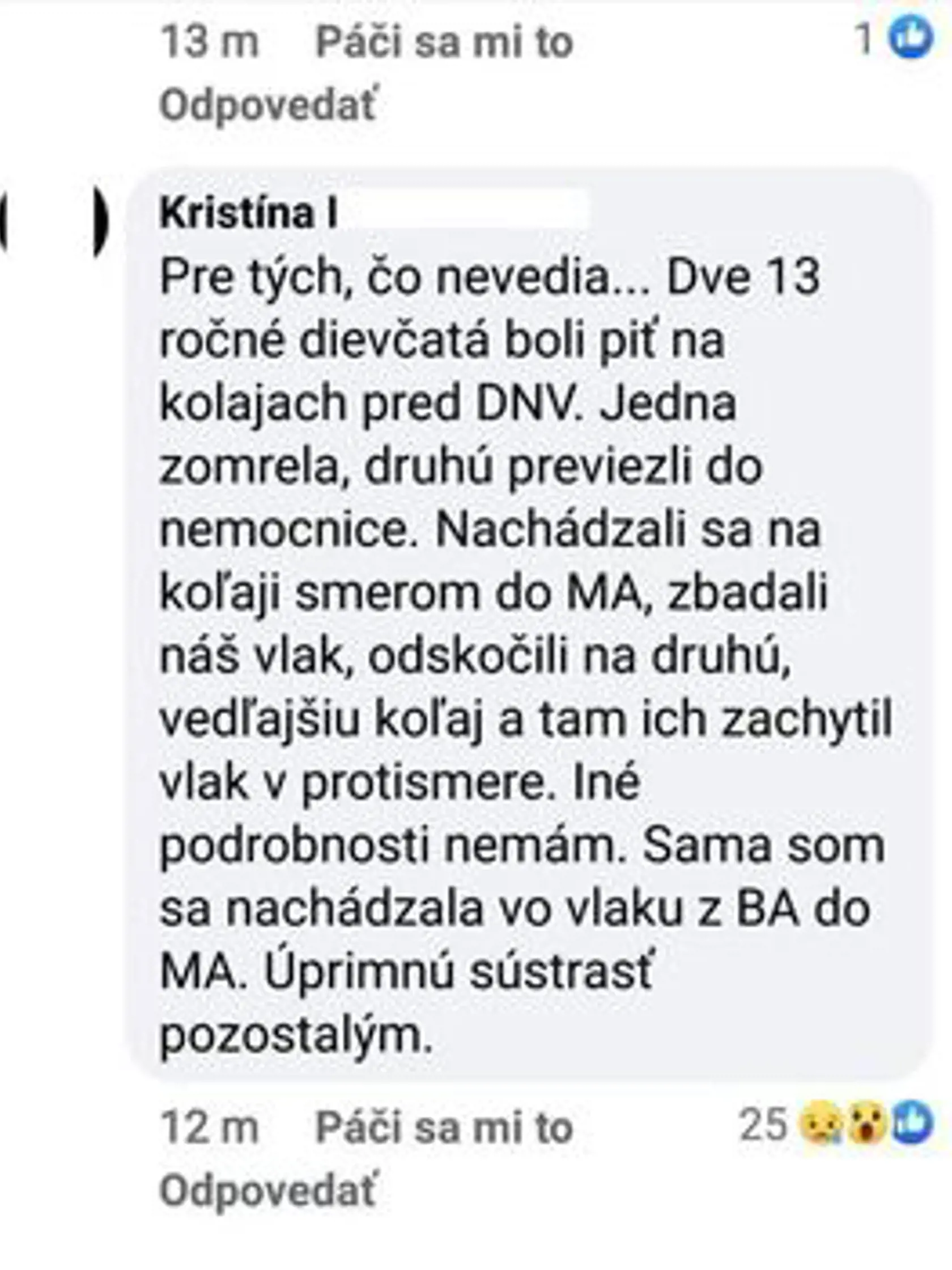 Správy o tragickej nehode sa na sociálnej sieti šírili veľmi rýchlo.
