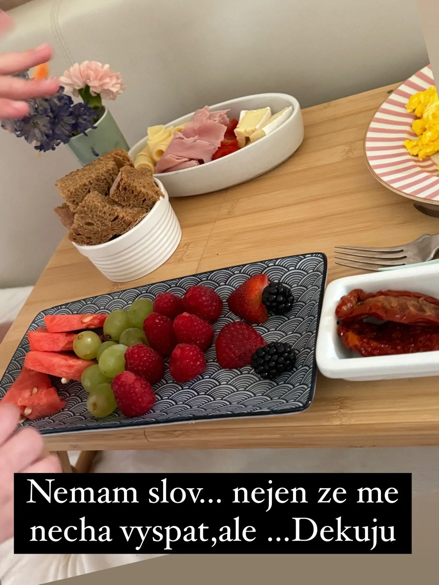 Agáta Hanychová
