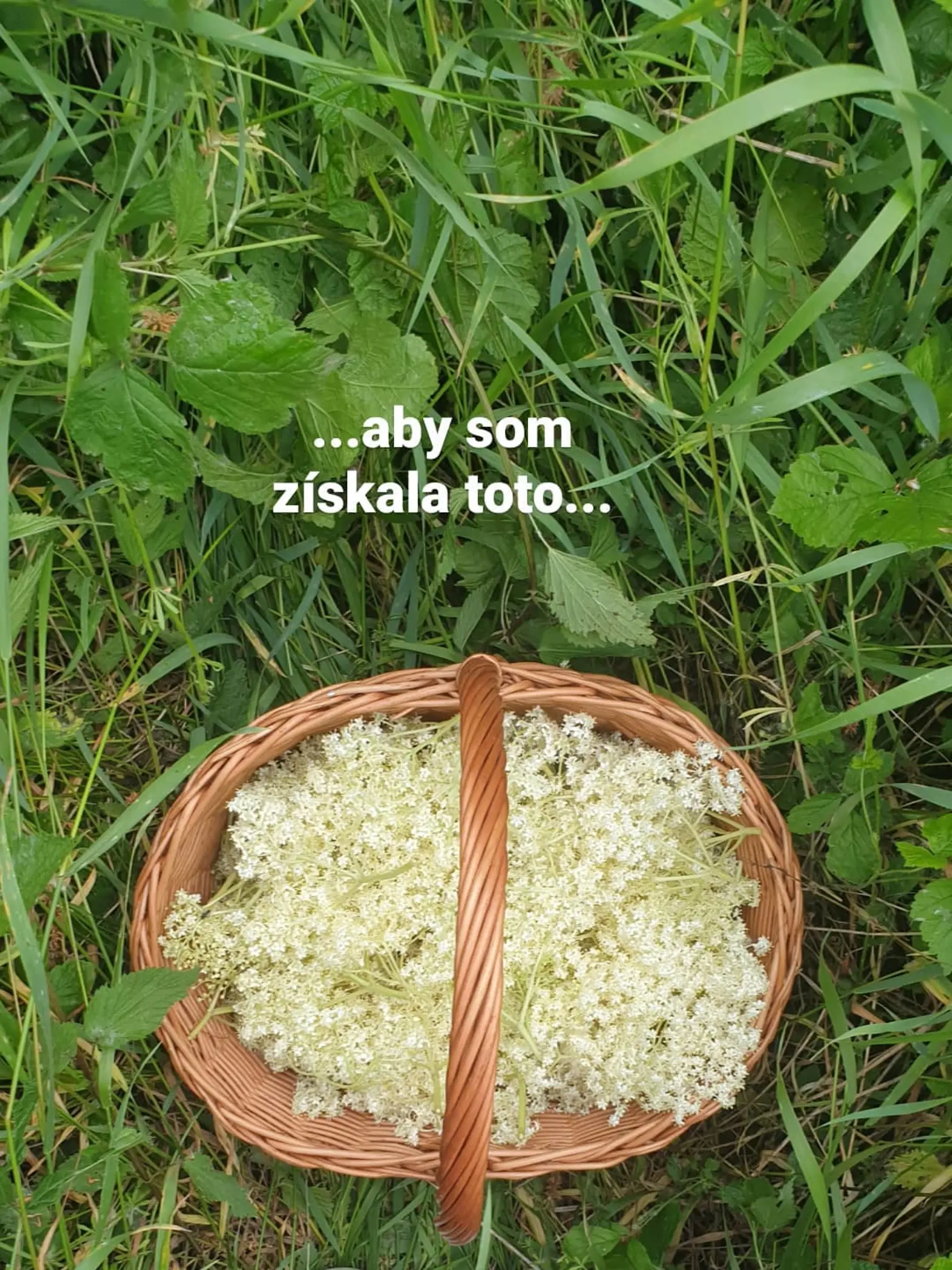 Manželka Ondreja Kandráča Erika sa na Instagrame chváli svojou záhradkou.