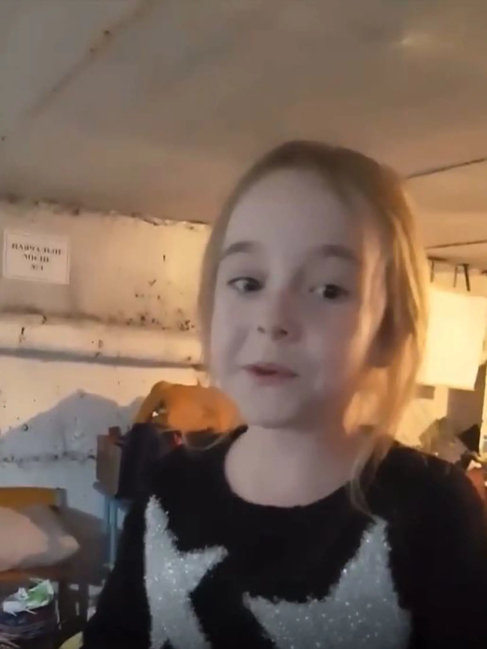 Video z minulého týždňa s Ameliou, spievajúcou pesničku Let It Go v preplnenom kryte v Kyjeve, videli milióny ľudí po celom svete vrátane Slovenska a zaujalo aj pôvodnú speváčku skladby, Američanku Idinu Menzelovú.