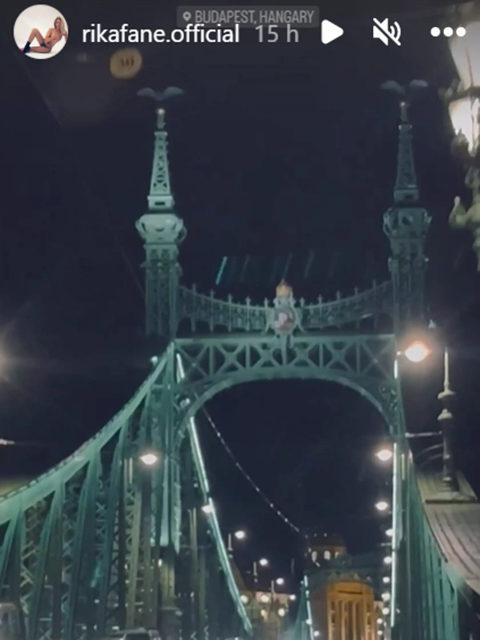 Stanley a Rika zdokumentovali svoju spoločnú cestu do Budapešti.