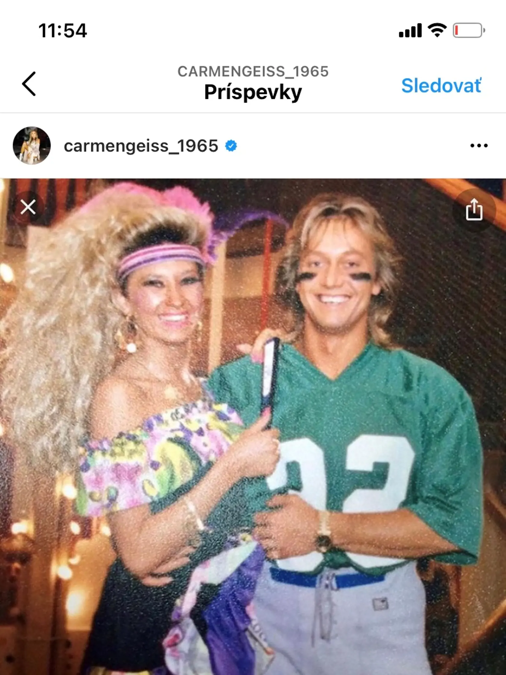 Carmen a Robert Geissenovci na karnevale
