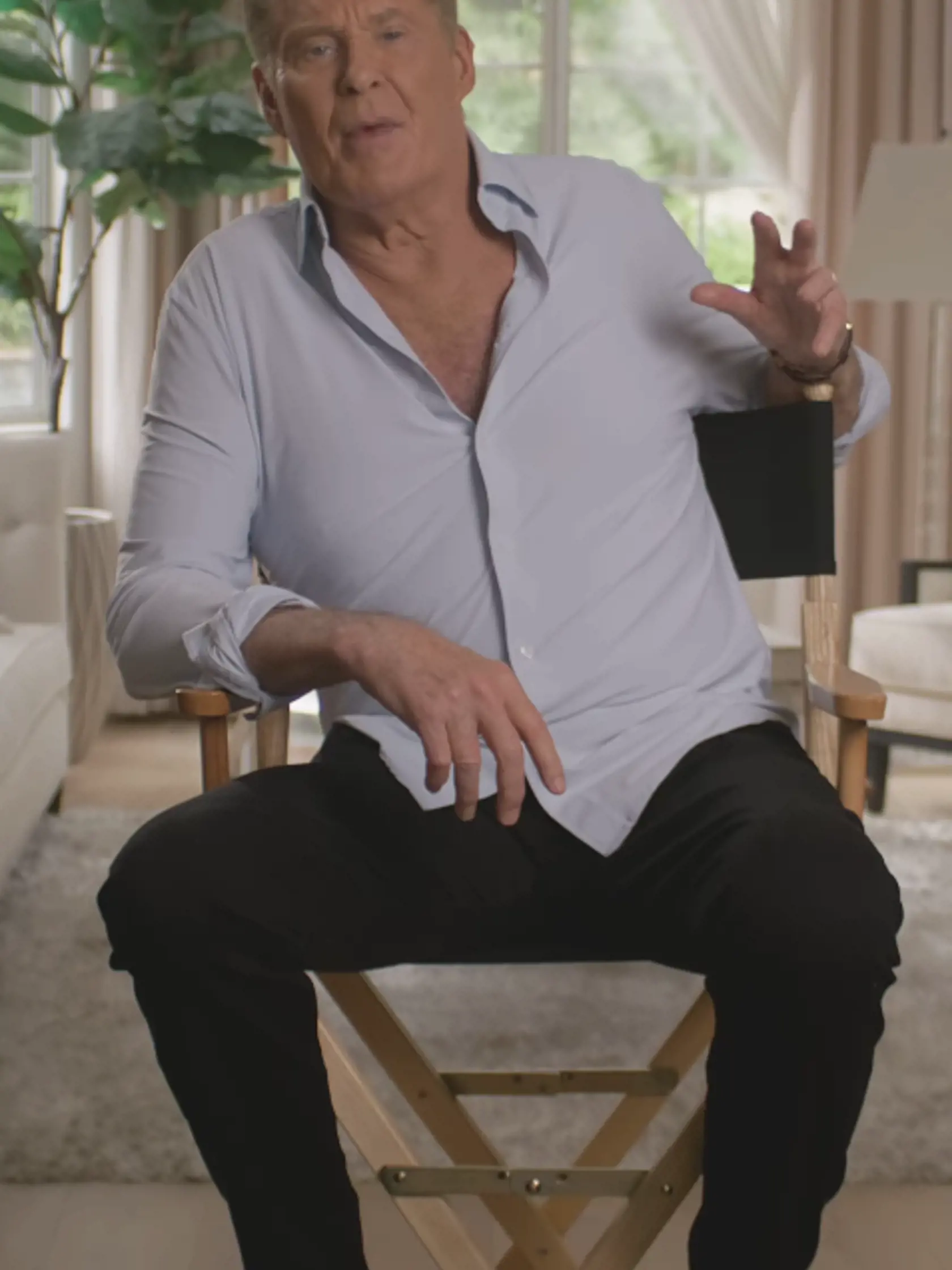 David Hasselhoff dnes.