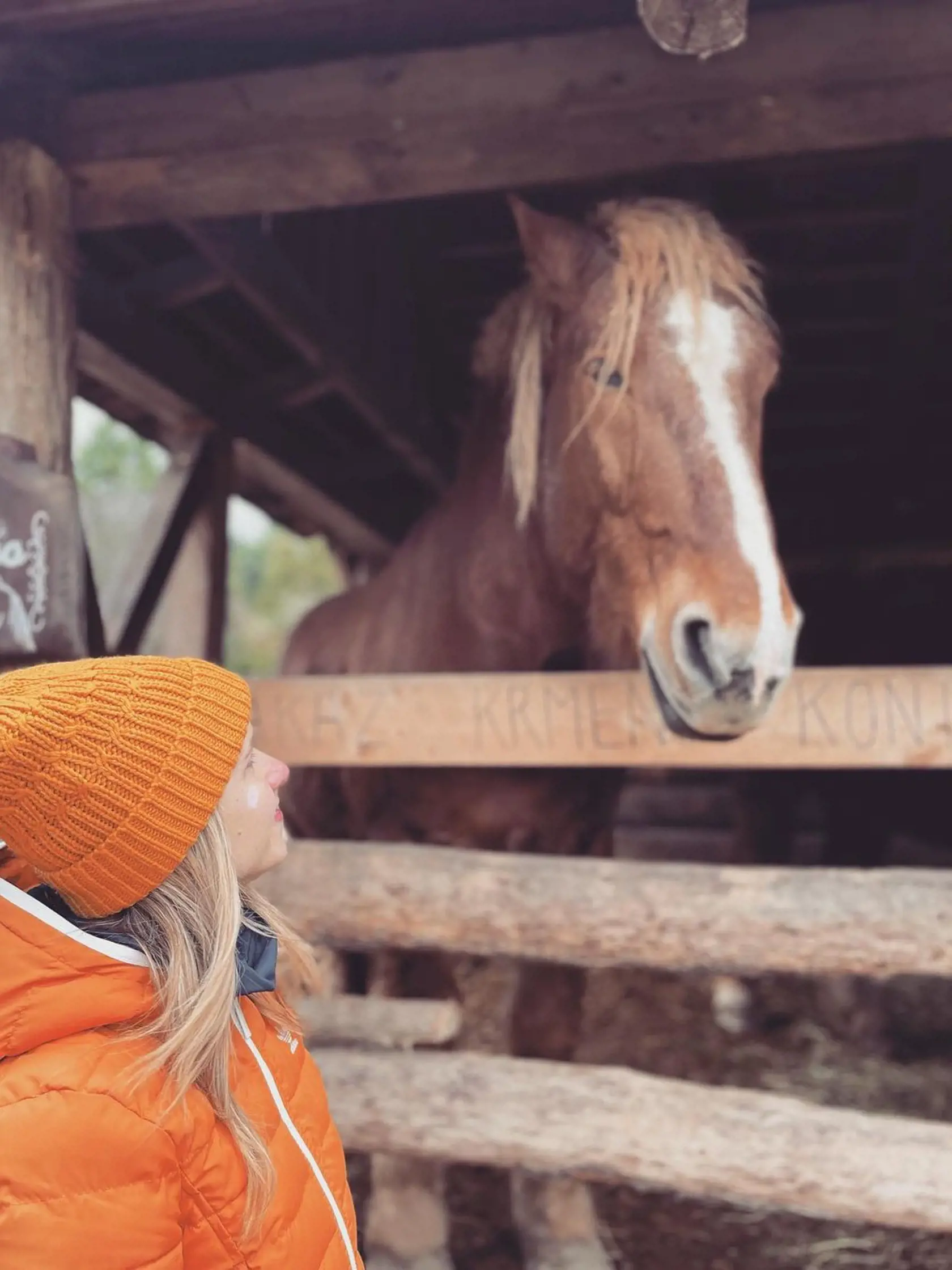 Nela Pocisková dostala na sviatky nevšedný "darček" - kiahne,
