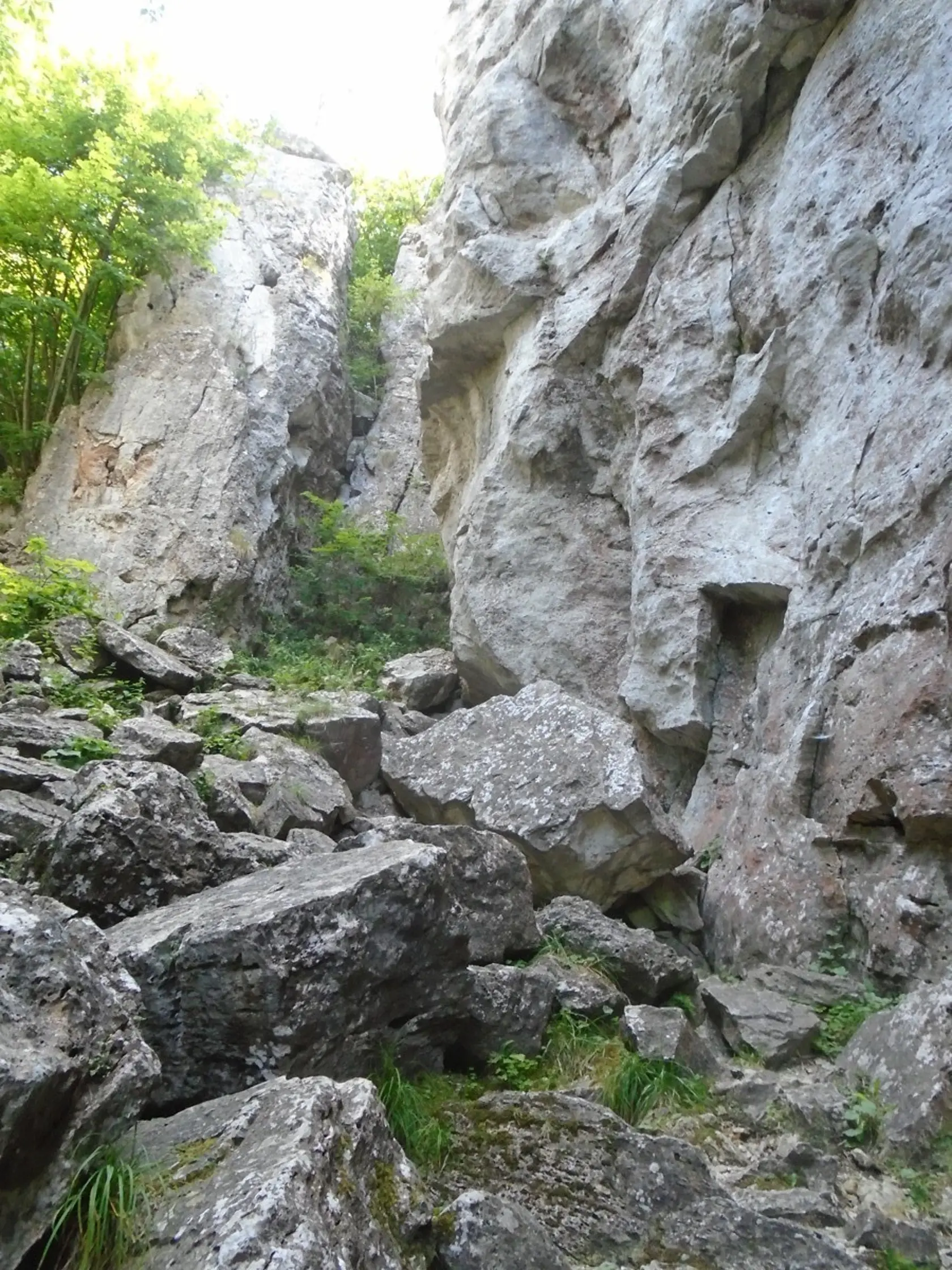 Pár kilometrov od  Slovenského raja a pár desiatok metrov od Spišského hradu je jedno z najkrajších miest na Spiši - travertínový Dreveník.
