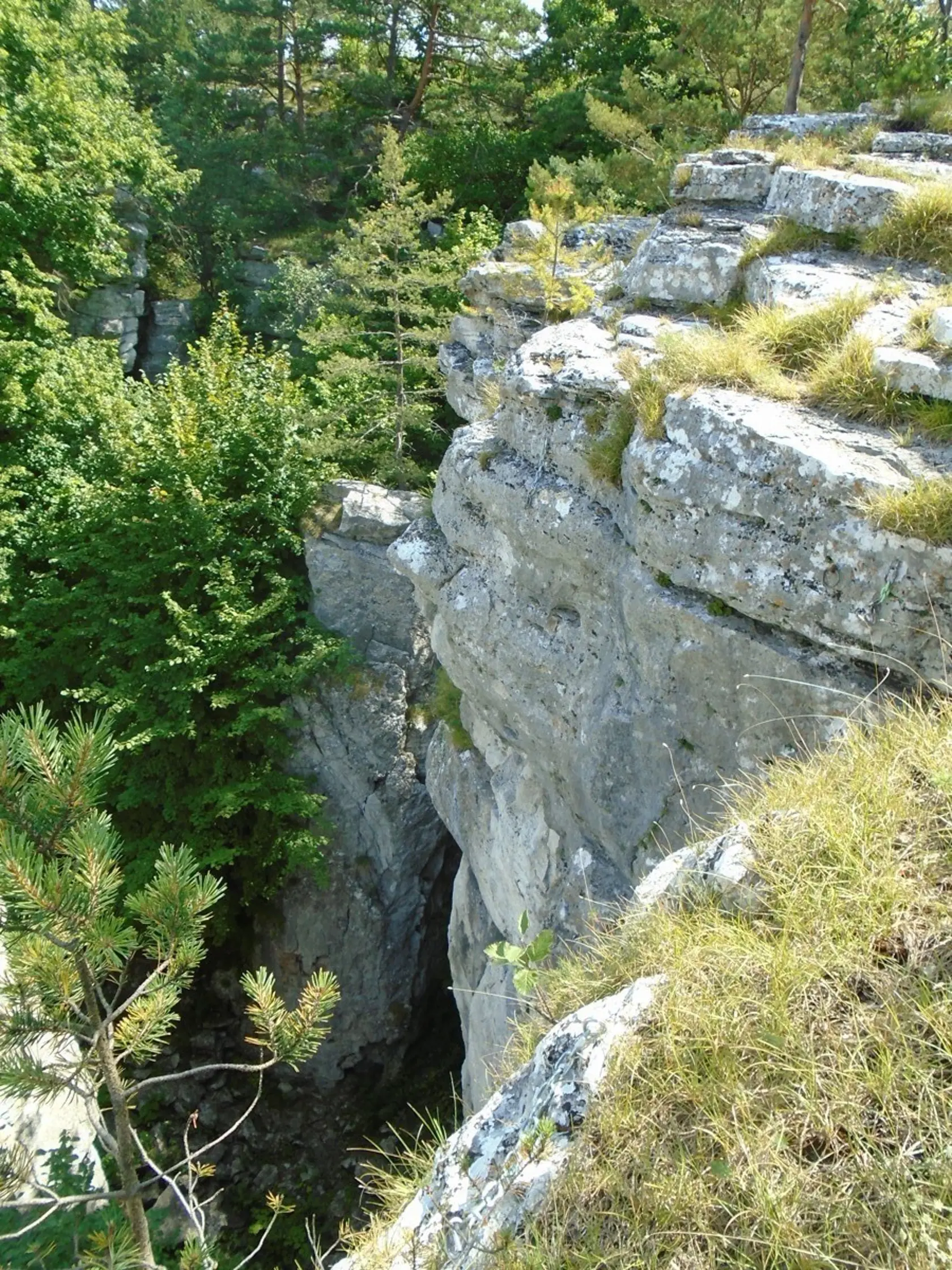 Pár kilometrov od  Slovenského raja a pár desiatok metrov od Spišského hradu je jedno z najkrajších miest na Spiši - travertínový Dreveník.