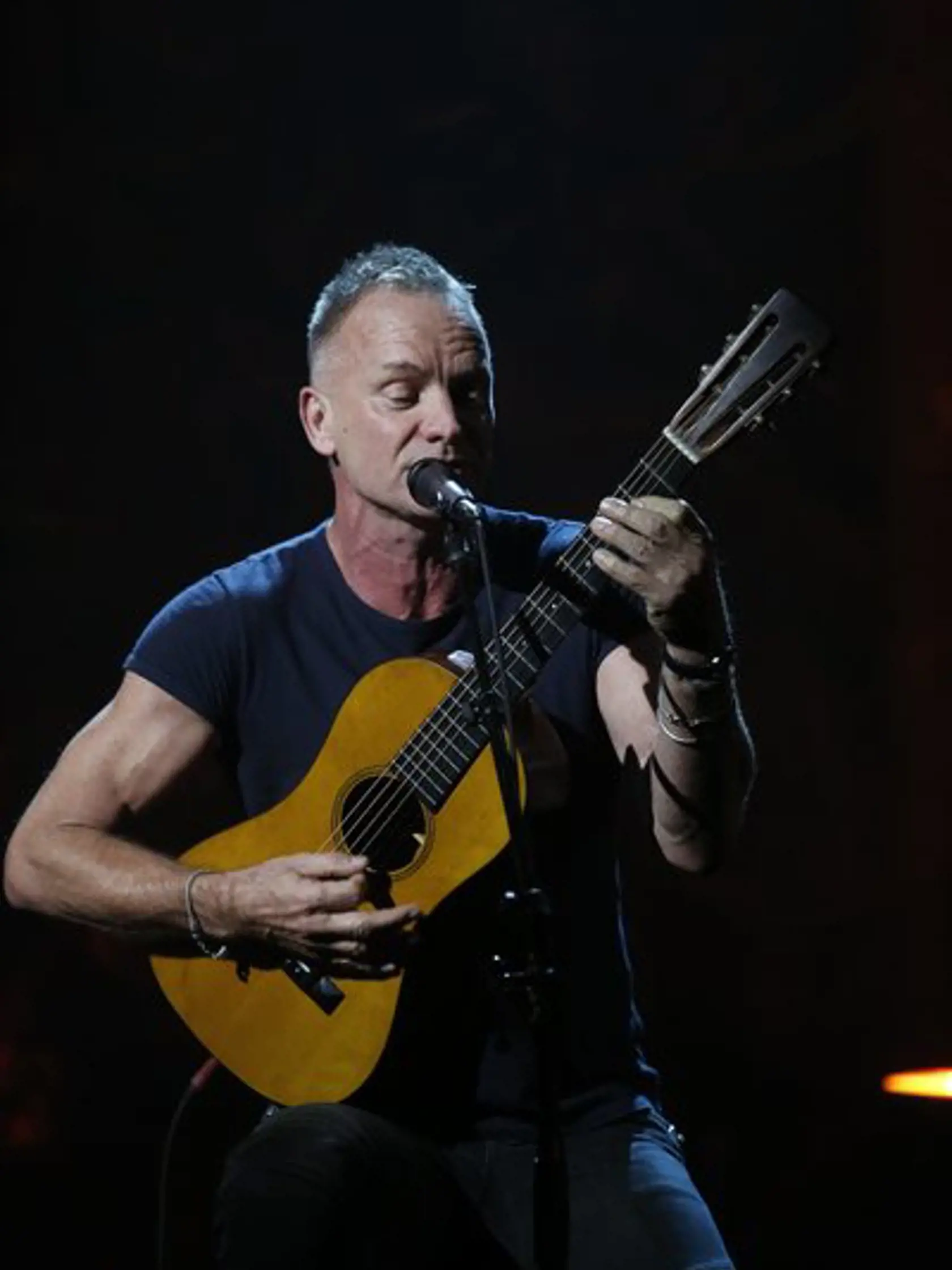"Hurricane Sandy: Coming Together": Sting