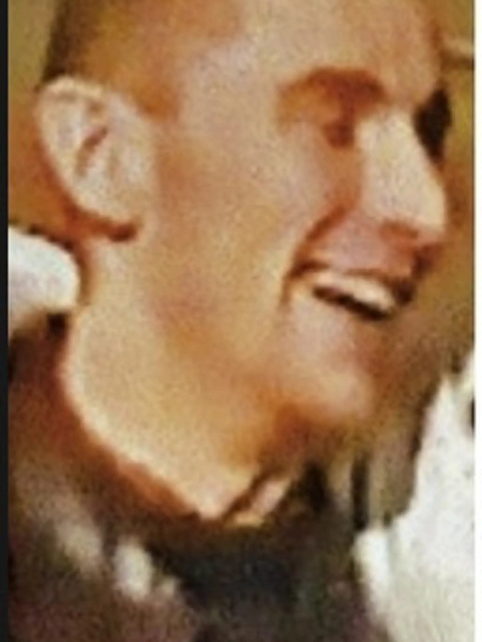 Peter Havaši - zavraždený šéf seneckej vetvy sýkorovcov.