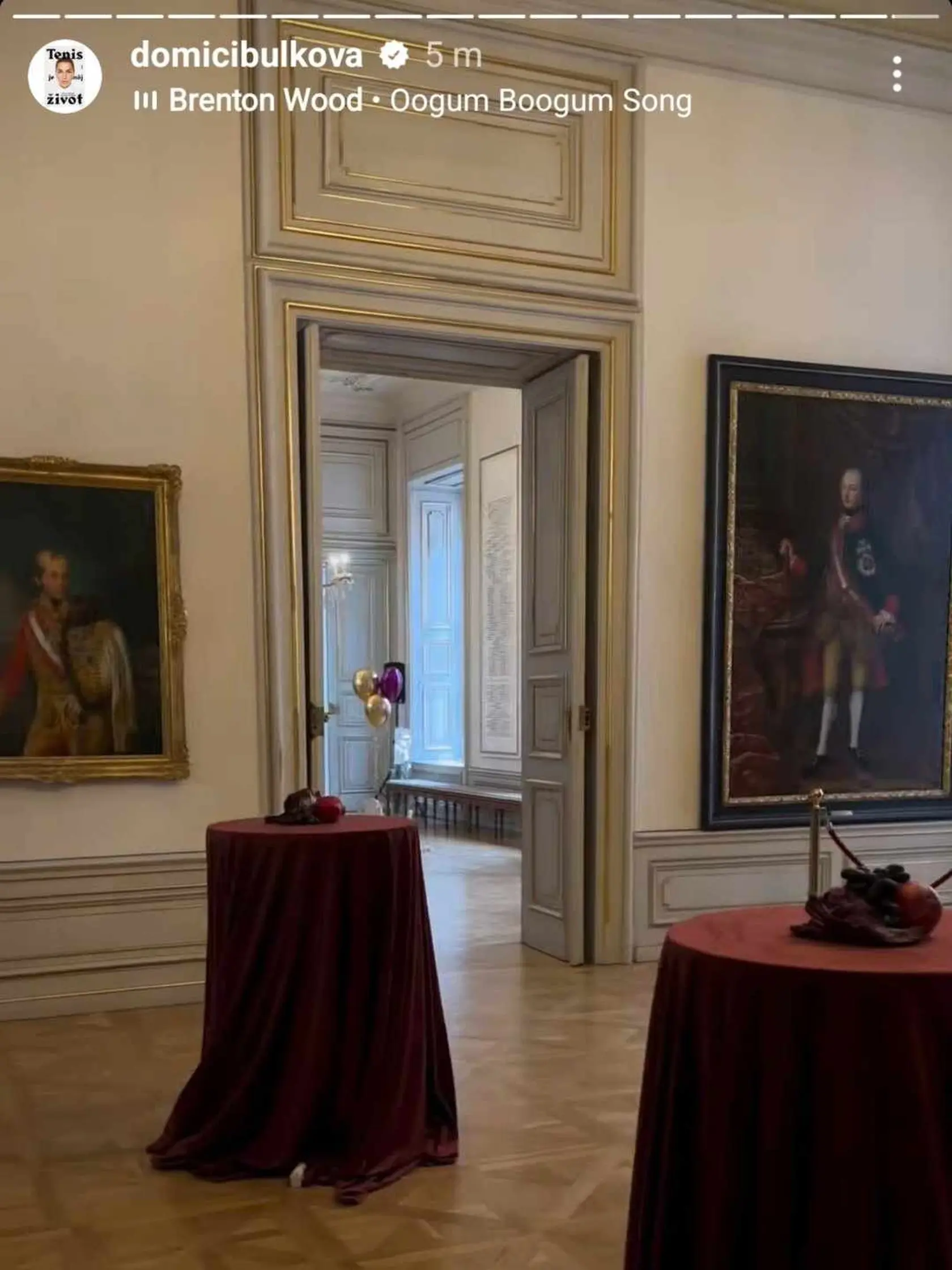 Dominika Cibulková pripravila dcérke honosnú oslavu.