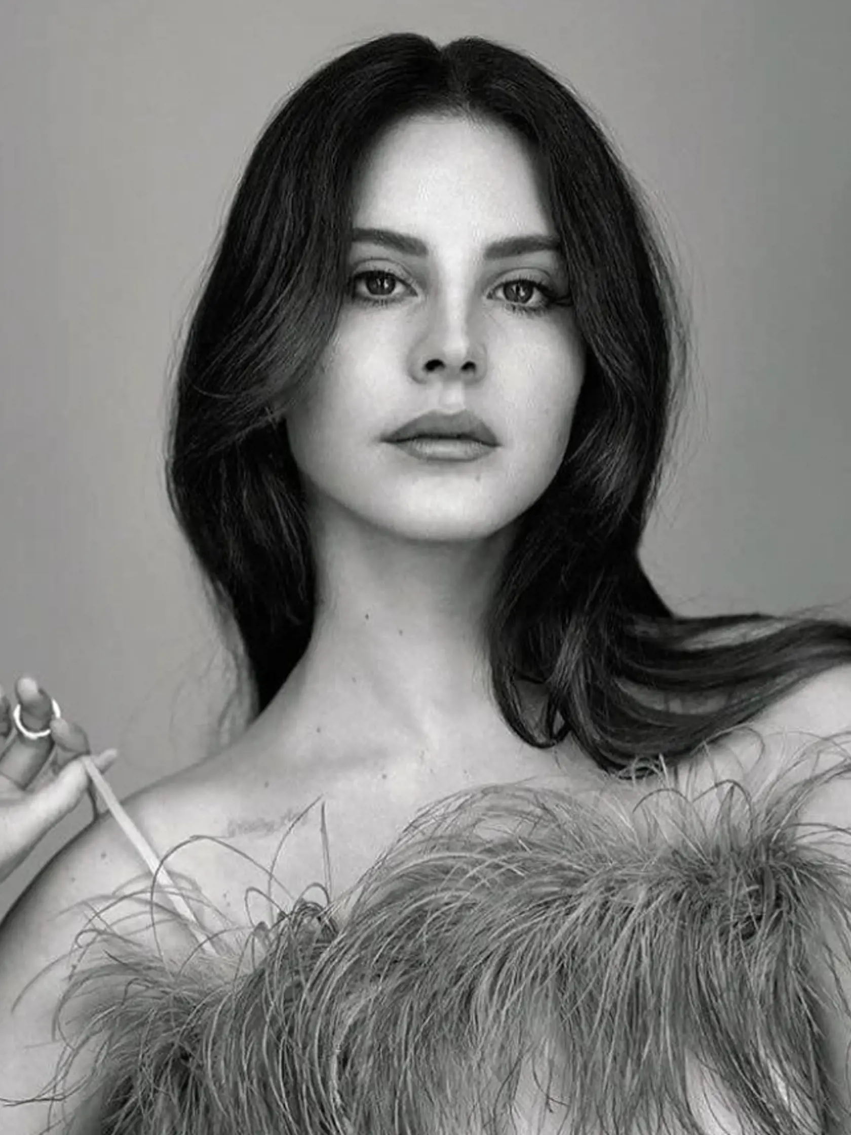 O úlohu manželky Priscilli Presley má záujem speváčka Lana Del Rey.
