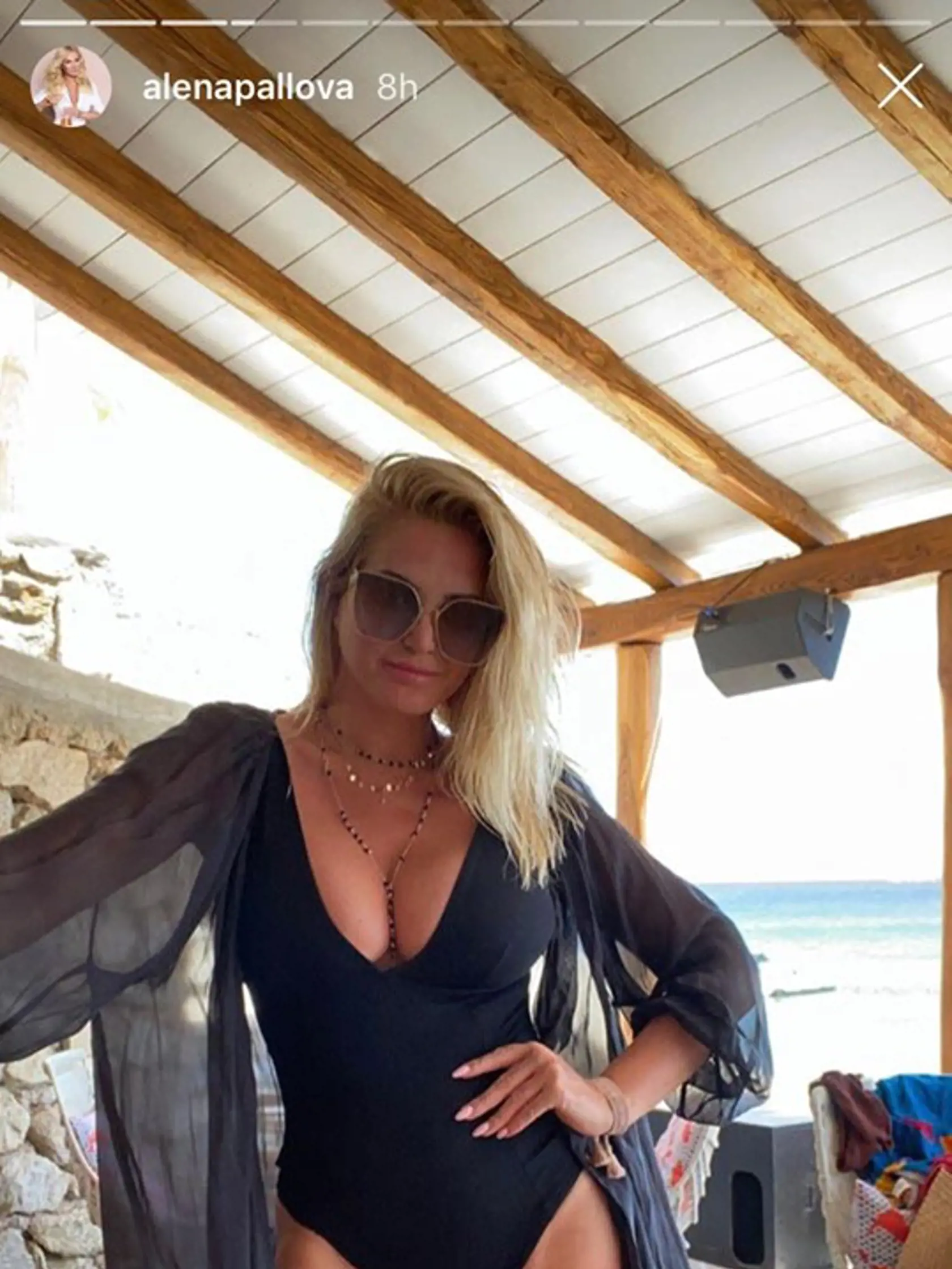 Alena Pallová