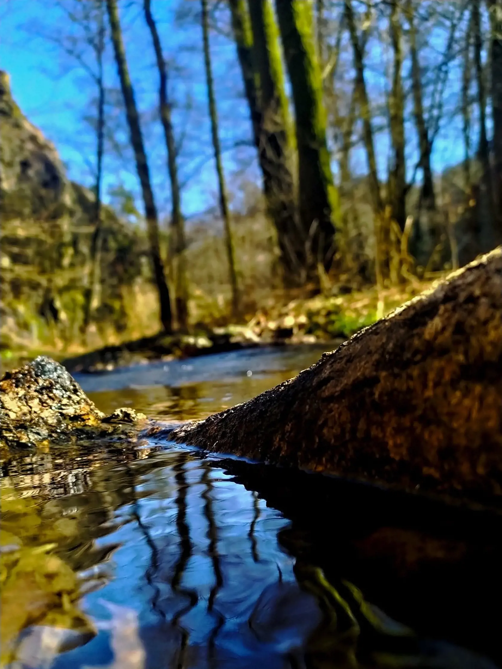 Jiřík Vaněk: Divoká Šárka pri Prahe