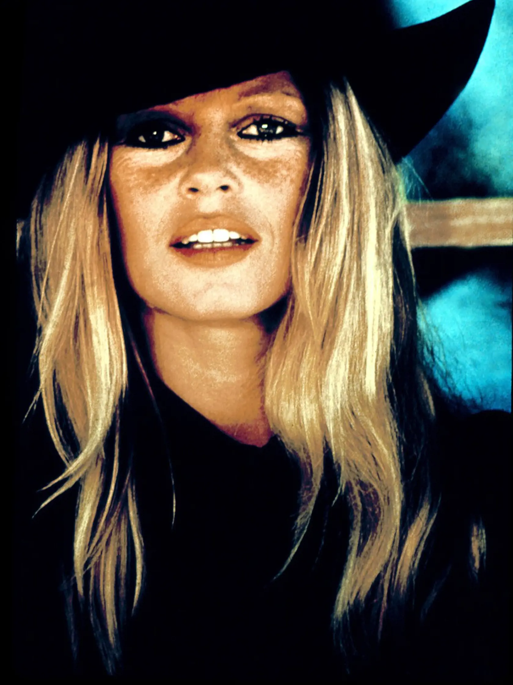 Brigitte Bardot bola sexsymbolom 50. a 60. rokov. V mladosti bola herečkou, speváčkou a modelkou, nakrútila 42 hraných filmov. Kariéru ukončila v roku 1973 vo veku 39 rokov a stala sa bojovníčkou za práva zvierat. Je vegetariánka a silná fajčiarka.