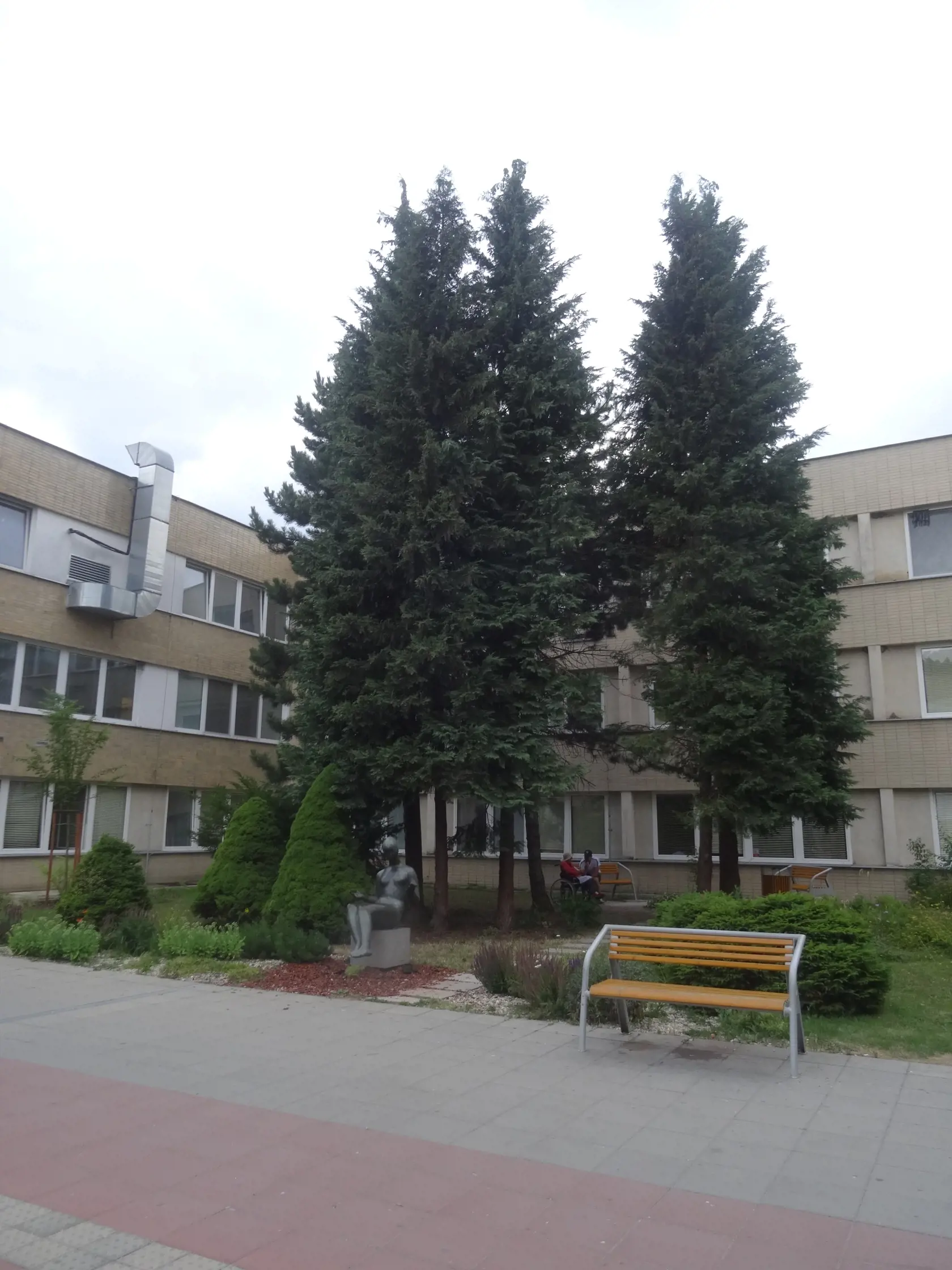 Nemocnica v SNV patrí medzi najkrajšie v Košickom kraji. Na zábere oddychová zóna v átriu nemocnice.