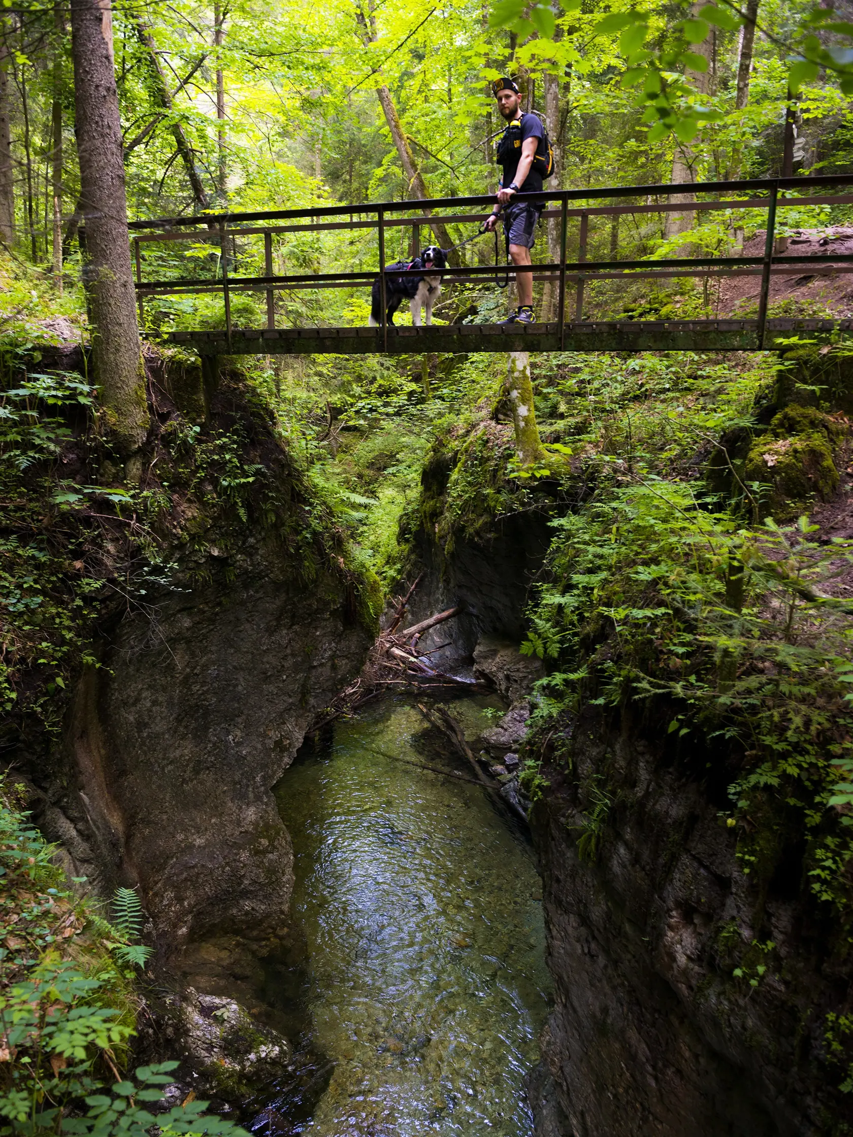 Biely potok, pravostranný prítok rieky Hornád v Prielome Hornádu, vytvoril úzku dolinu s názvom Tomášovská Belá. Úžinou Tomášovskej Belej vedie zelená turistická značka umožňujúca prechod NP Slovenský raj z juhu od Dediniek na sever k Čingovu a naopak. Z Tomášovskej Belej začína napr. nástup na Ferratu HZS Kyseľ ale aj nástup do divokej Sokolej doliny s najvyšším vodopádom Slovenského raja, Závojovým vodopádom. Bielym potokom sa v minulosti splavovalo drevo.
