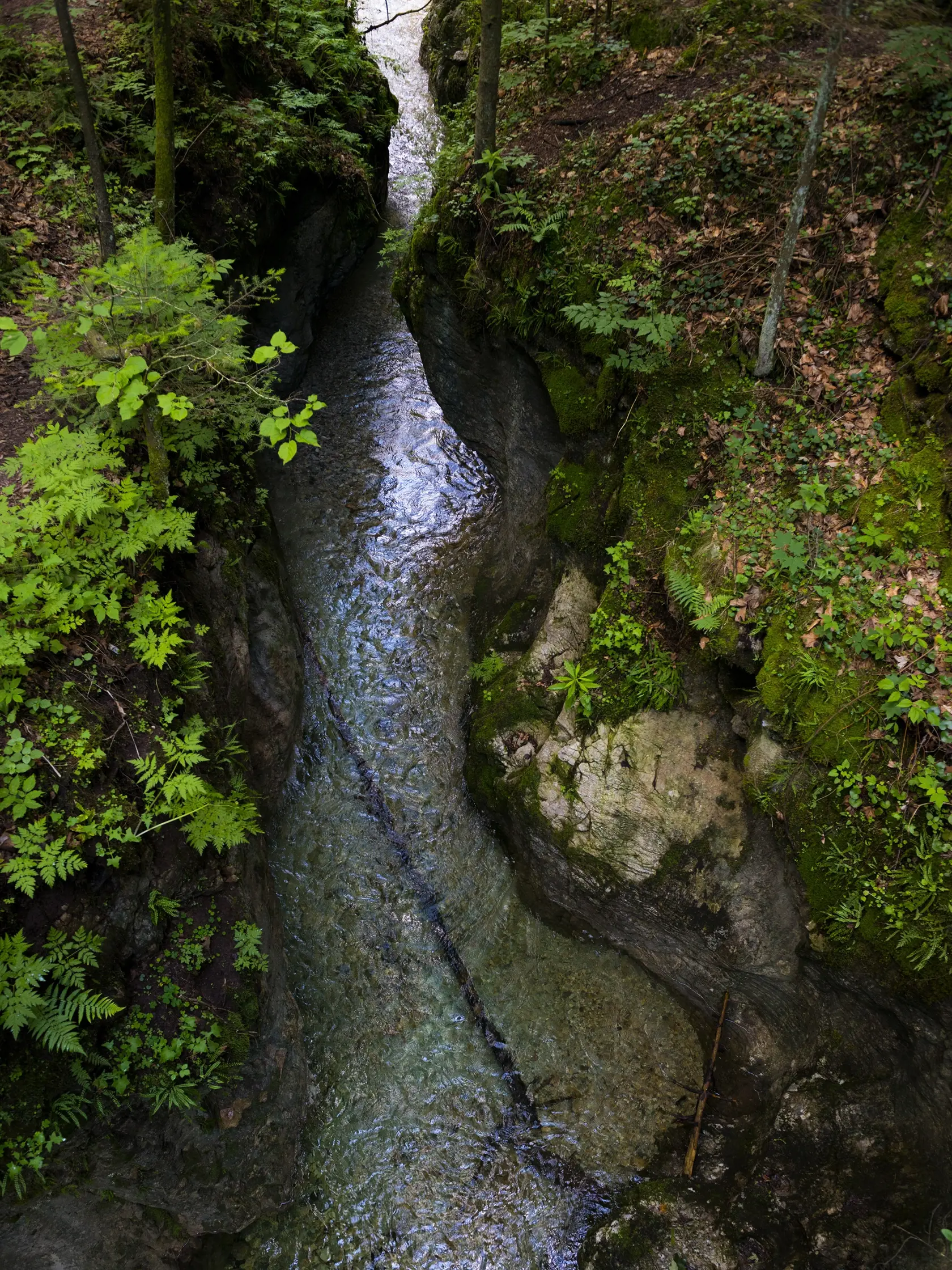 Biely potok, pravostranný prítok rieky Hornád v Prielome Hornádu, vytvoril úzku dolinu s názvom Tomášovská Belá. Úžinou Tomášovskej Belej vedie zelená turistická značka umožňujúca prechod NP Slovenský raj z juhu od Dediniek na sever k Čingovu a naopak. Z Tomášovskej Belej začína napr. nástup na Ferratu HZS Kyseľ ale aj nástup do divokej Sokolej doliny s najvyšším vodopádom Slovenského raja, Závojovým vodopádom. Bielym potokom sa v minulosti splavovalo drevo.