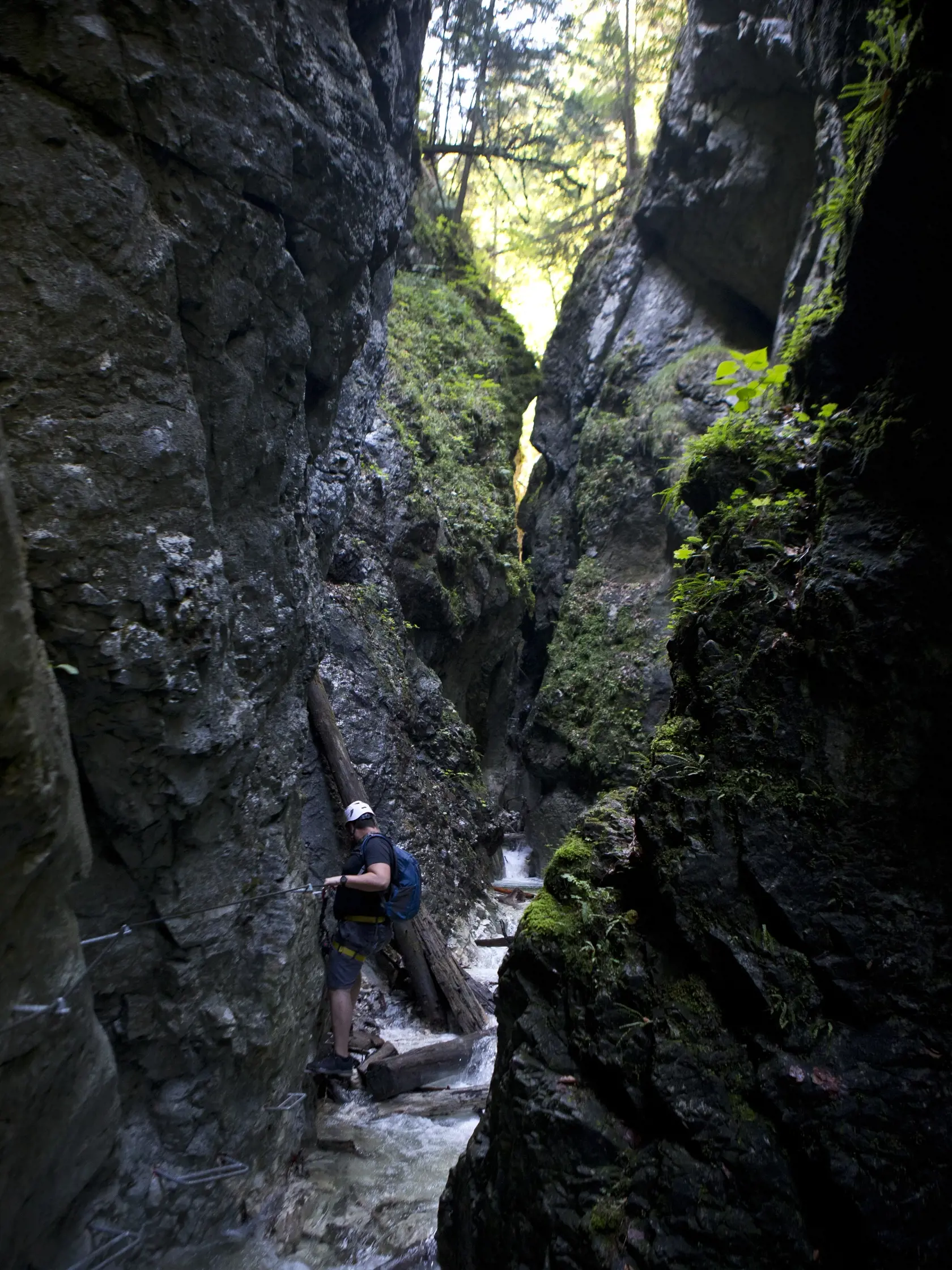 Slovensky raj - Ferrata Kysel. Otvorenie novej zaistenej turistickej cesty v Slovenskom raji v casti rokliny Kysel, ktora bola pre verejnost uzavreta od roku 1976 z dovodu rozsiahleho poziaru. V rokline za poslednych 40 rokov nebol ziadny zasah cloveka.