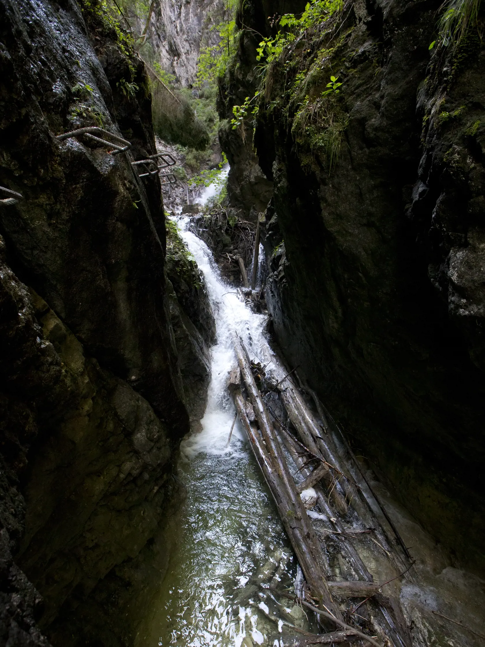Slovensky raj - Ferrata Kysel. Otvorenie novej zaistenej turistickej cesty v Slovenskom raji v casti rokliny Kysel, ktora bola pre verejnost uzavreta od roku 1976 z dovodu rozsiahleho poziaru. V rokline za poslednych 40 rokov nebol ziadny zasah cloveka.
