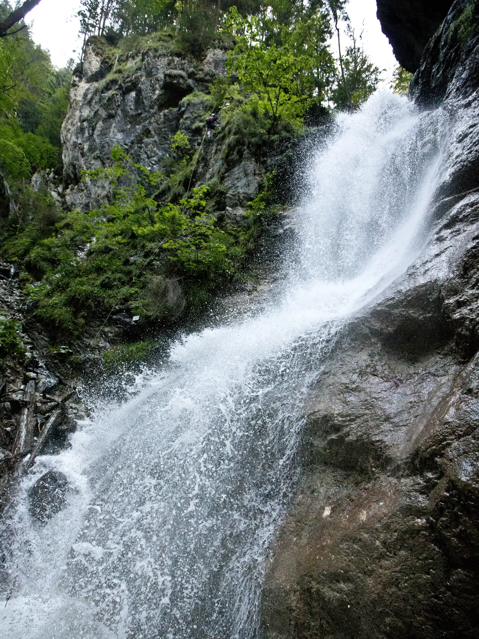 Slovensky raj - Ferrata Kysel. Otvorenie novej zaistenej turistickej cesty v Slovenskom raji v casti rokliny Kysel, ktora bola pre verejnost uzavreta od roku 1976 z dovodu rozsiahleho poziaru. V rokline za poslednych 40 rokov nebol ziadny zasah cloveka.