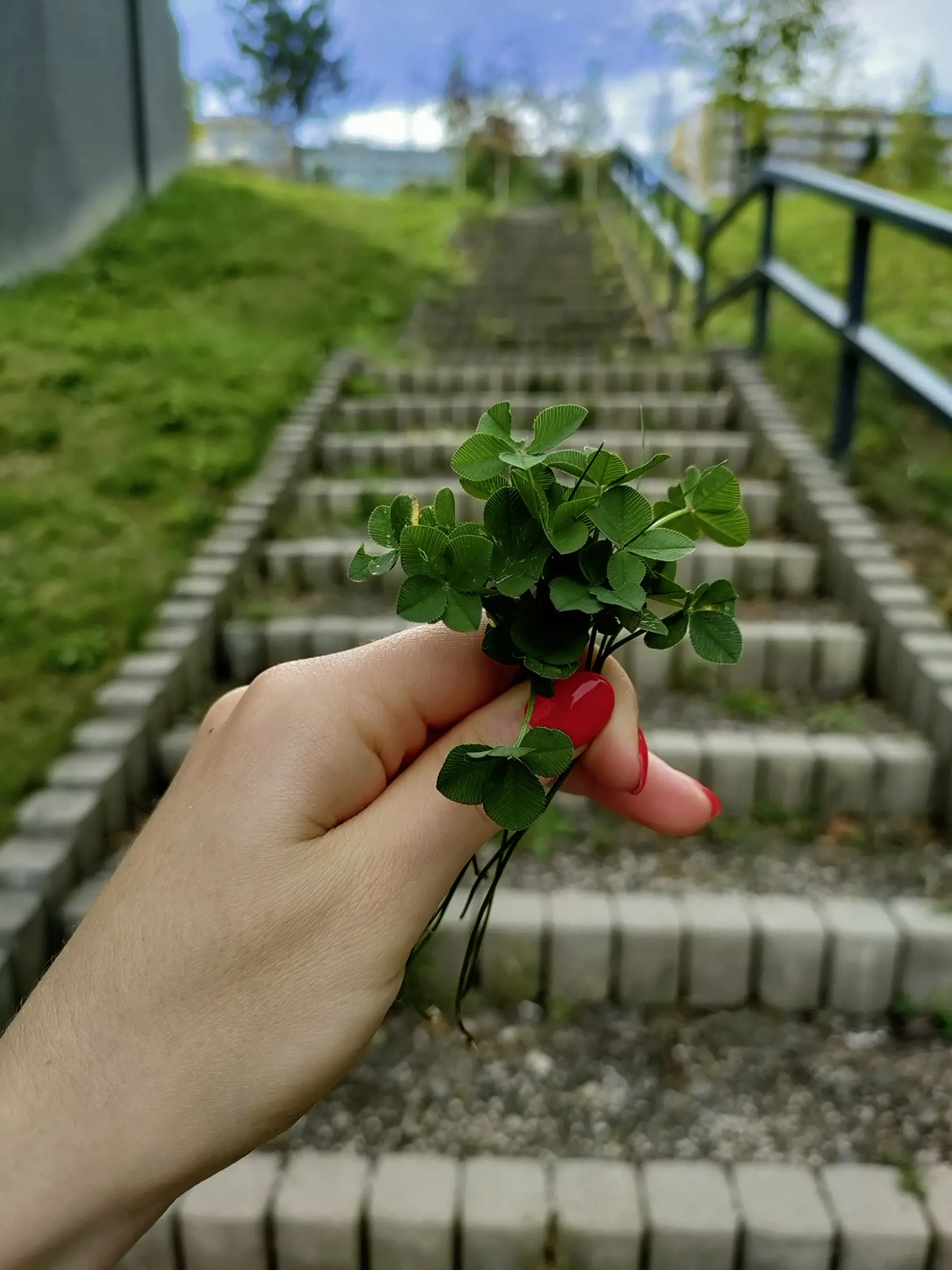 Často si ich ukladá do kníh. Nemá špeciálne miesto.