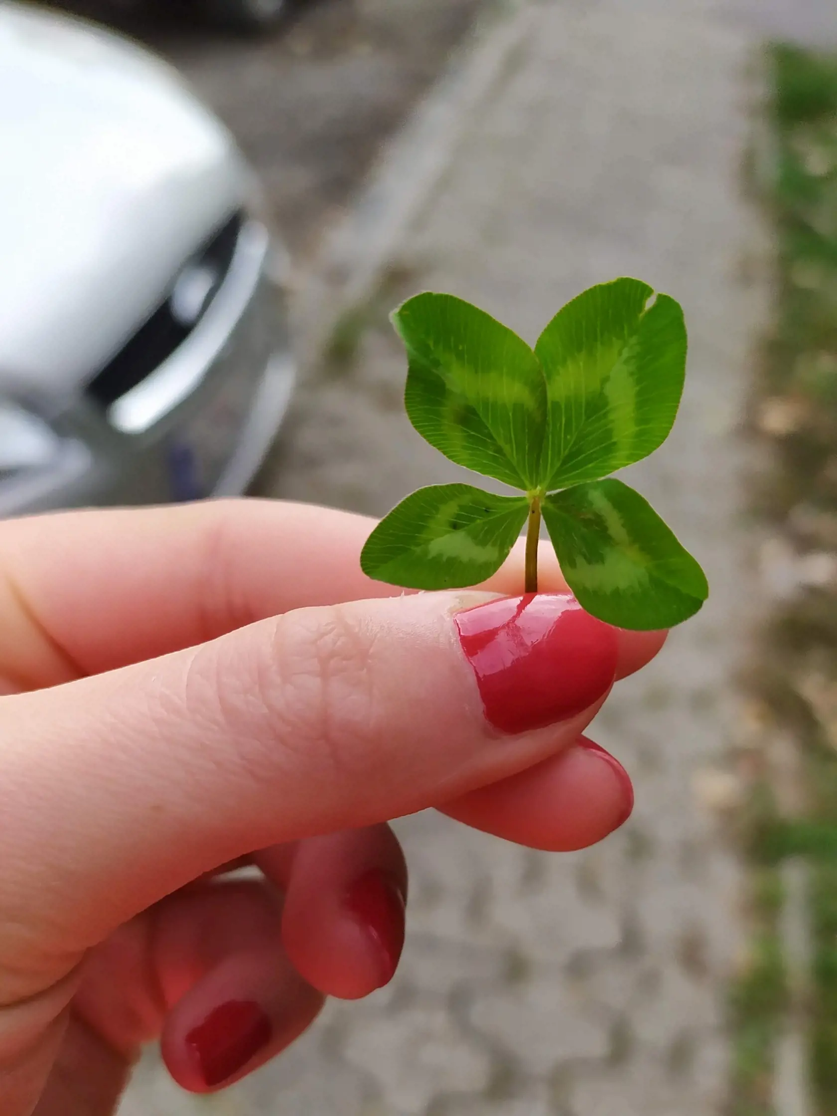 Nemá spočítané, koľko ich našla, ale sú to stovky.