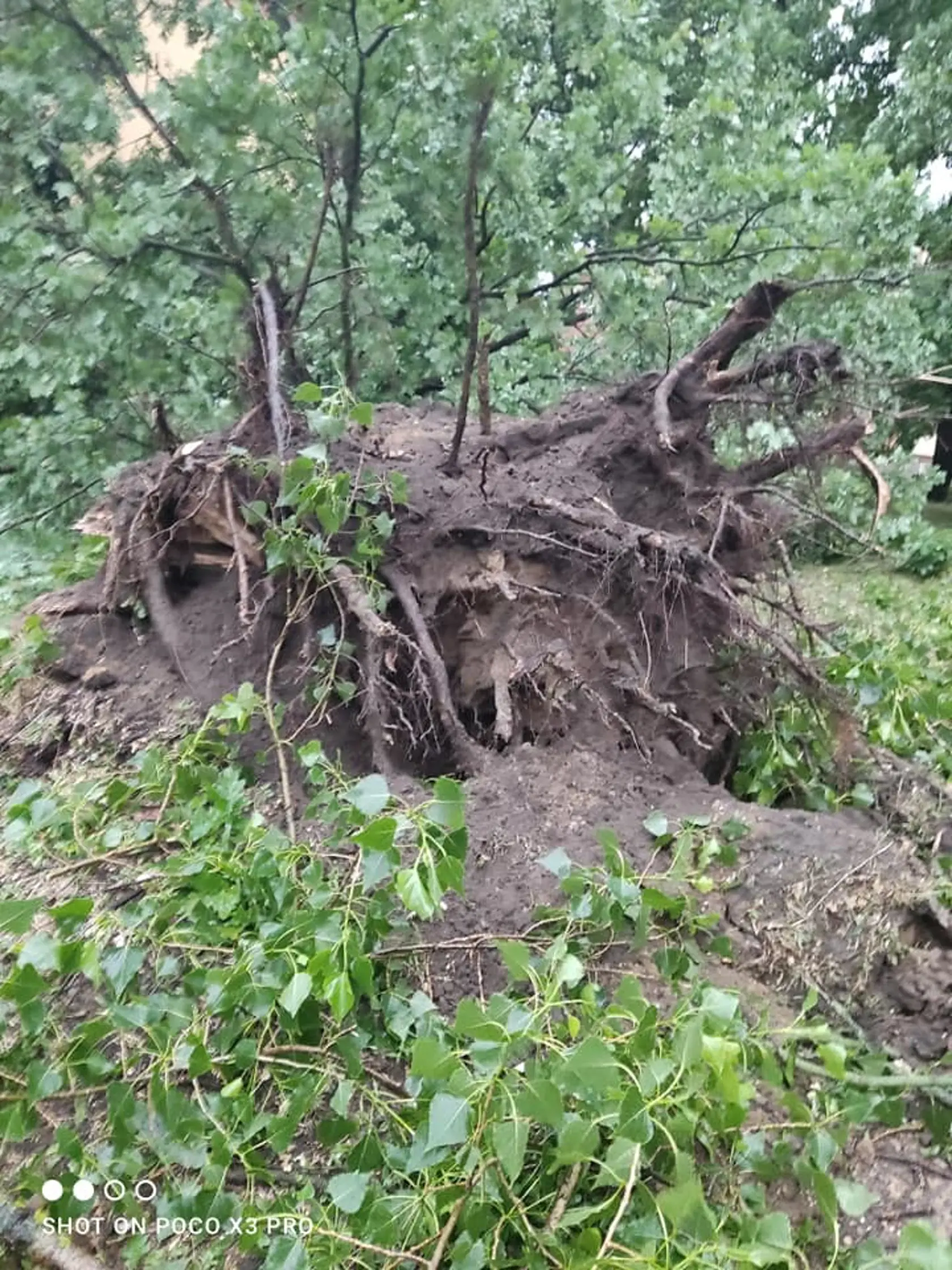 Českom sa prehnalo tornádo.