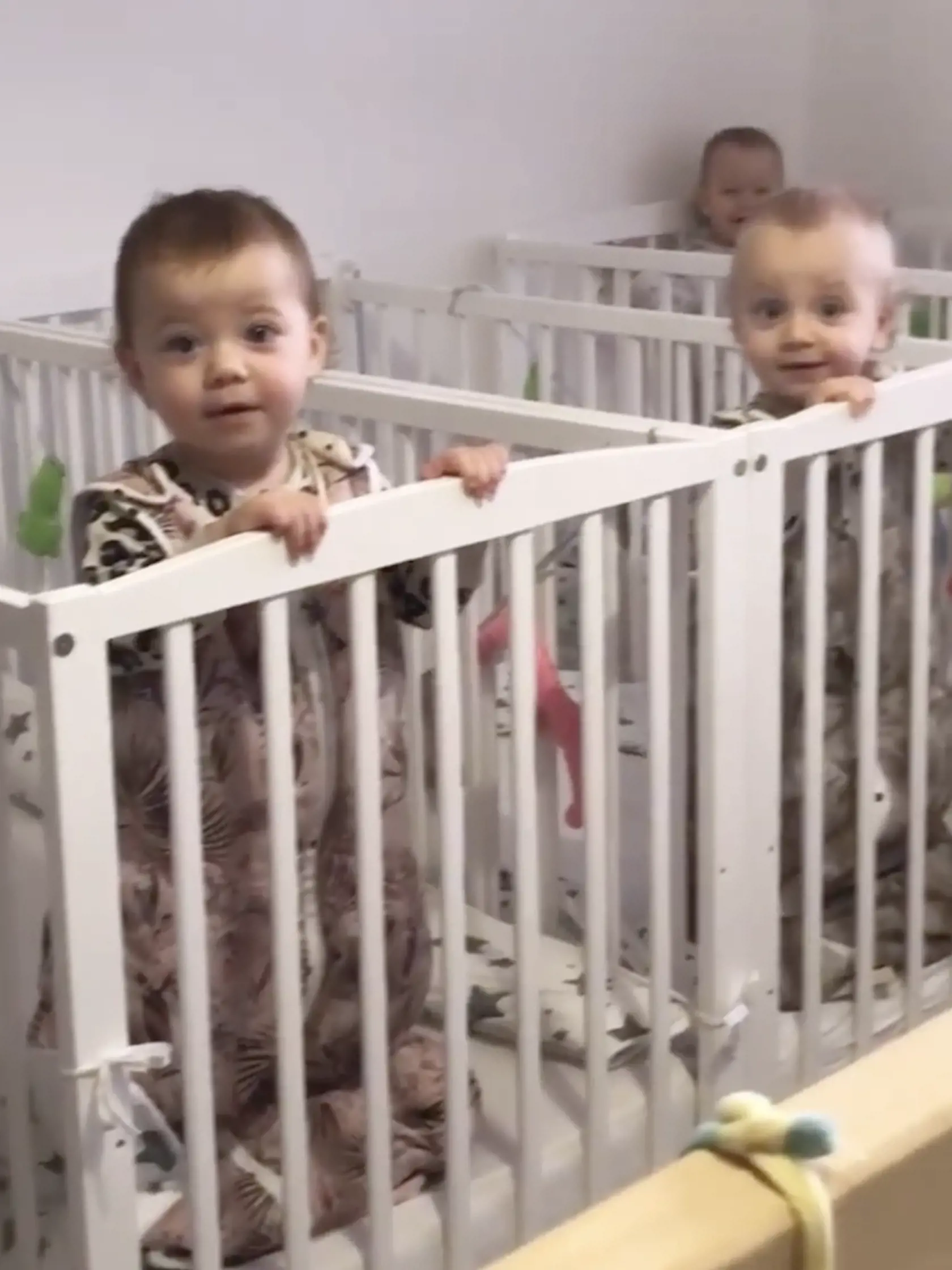 Ročně štvorčatá z Torysy pri Sabinove - Damián, Hugo, Noémi a Eliška.