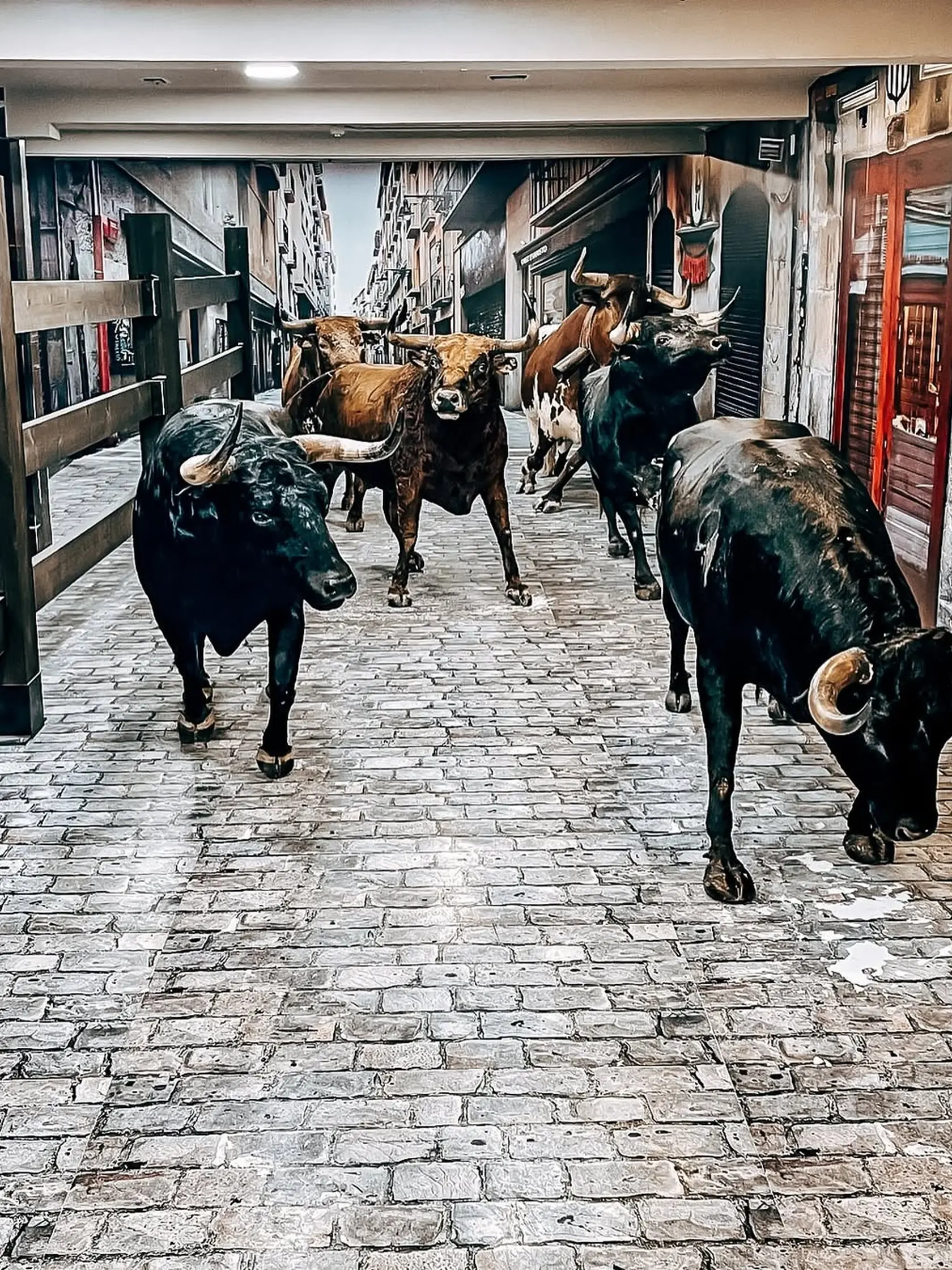 K tej to fotke napísala: Pamplona 🇪🇸🐂. Krásne mesto, krásne počasie a ďalšie zvládnuté kilometre za mnou … Ochutnala som pincho a objímala sa s Hemingwayom. Pcha! 🙃
Pridám ešte malé motto z brožúrky, ktorú napísal ikonický John Brierley: “Nie som človek na duchovnej ceste, som duchovná bytosť na ľudskej ceste”