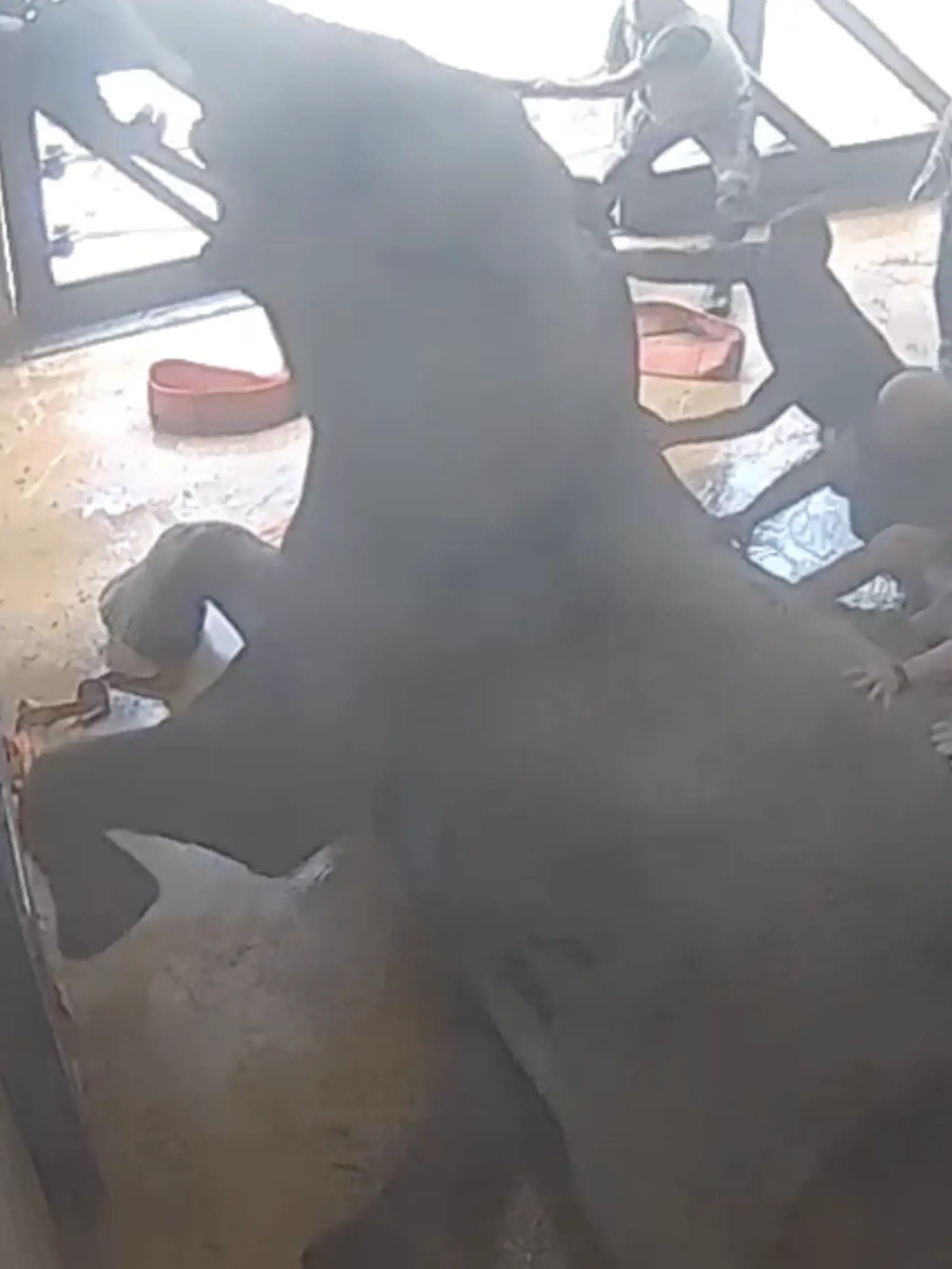 Situácia zo septembra sa už našťastie nezopakovala. Video však bolo natoľko zaujimavé, že dosiahlo viac ako 1,4 milióna pozretí! 

