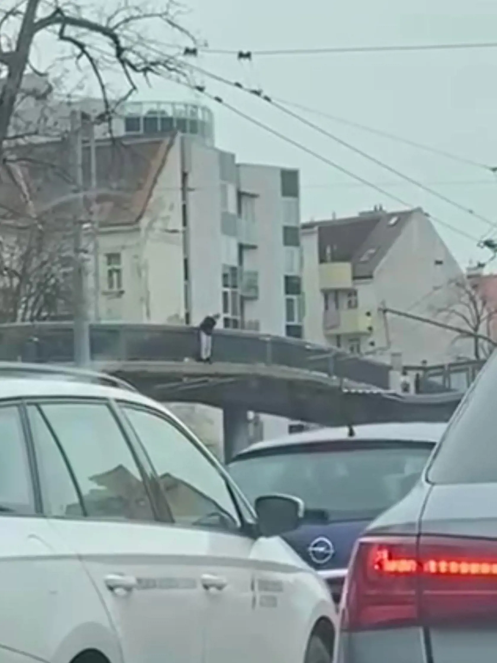 "Jemu d*be. Normálne skočil, ten b*bec," počuť na videu po tom, čo na zemi zostala ležať nehybná postava.