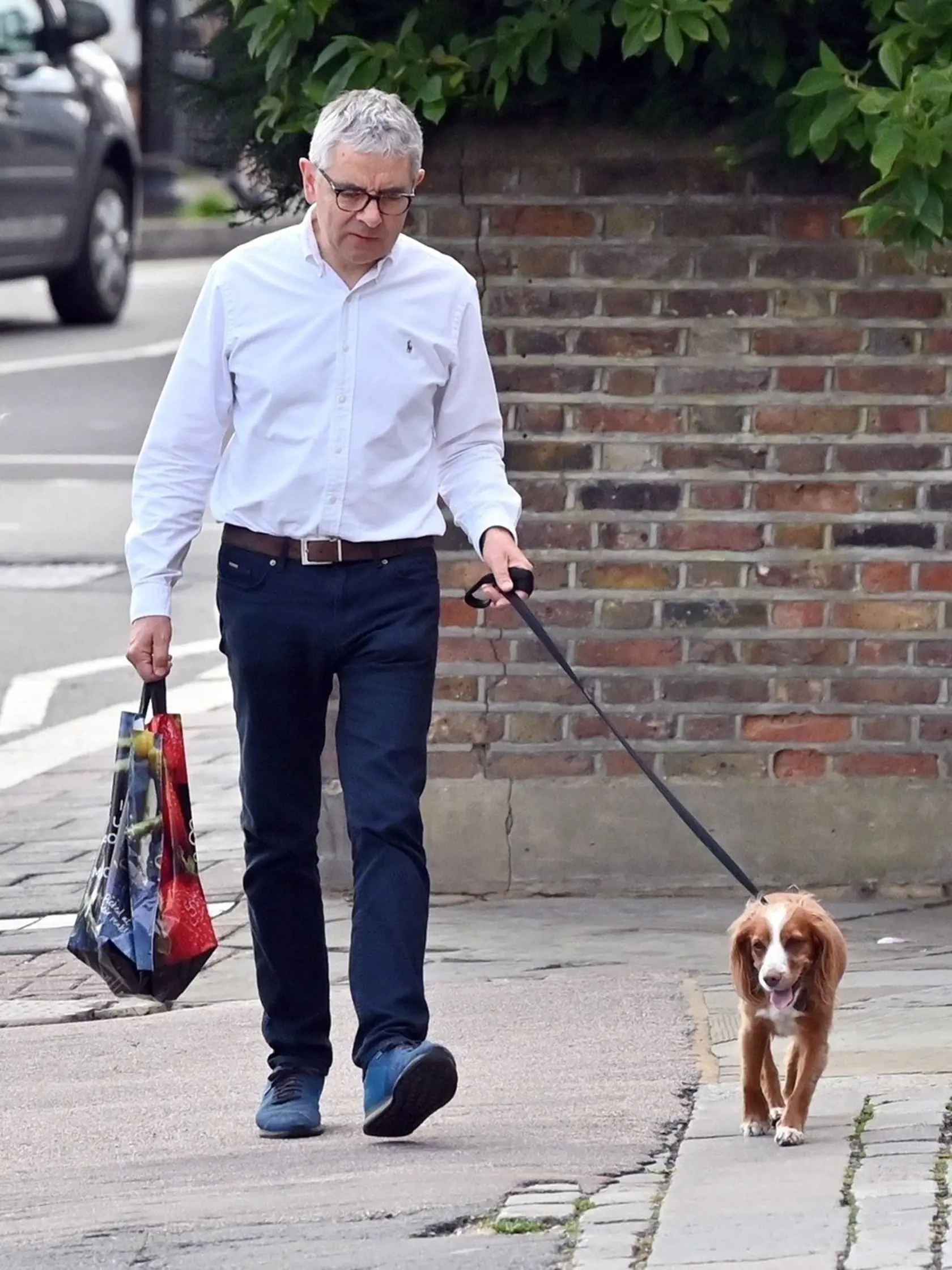 Britský herec a komik Rowan Atkinson venčil v uliciach Londýna svojho psa.