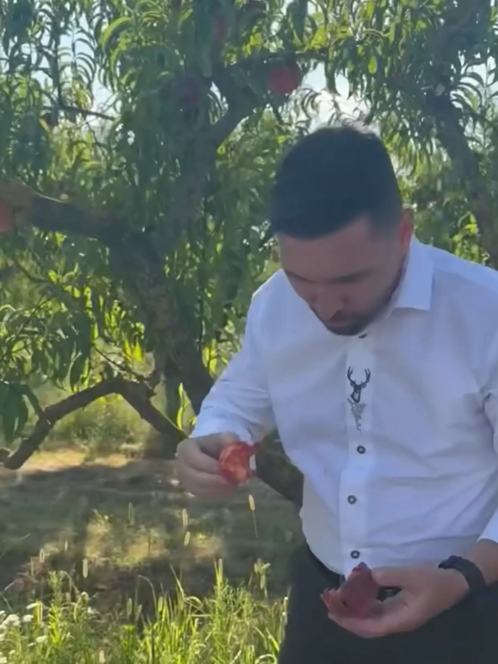 Okrem zberu ríbezlí či malín si Takáč na ovocí dopestovanom na Slovensko veľmi rád aj pochutná.