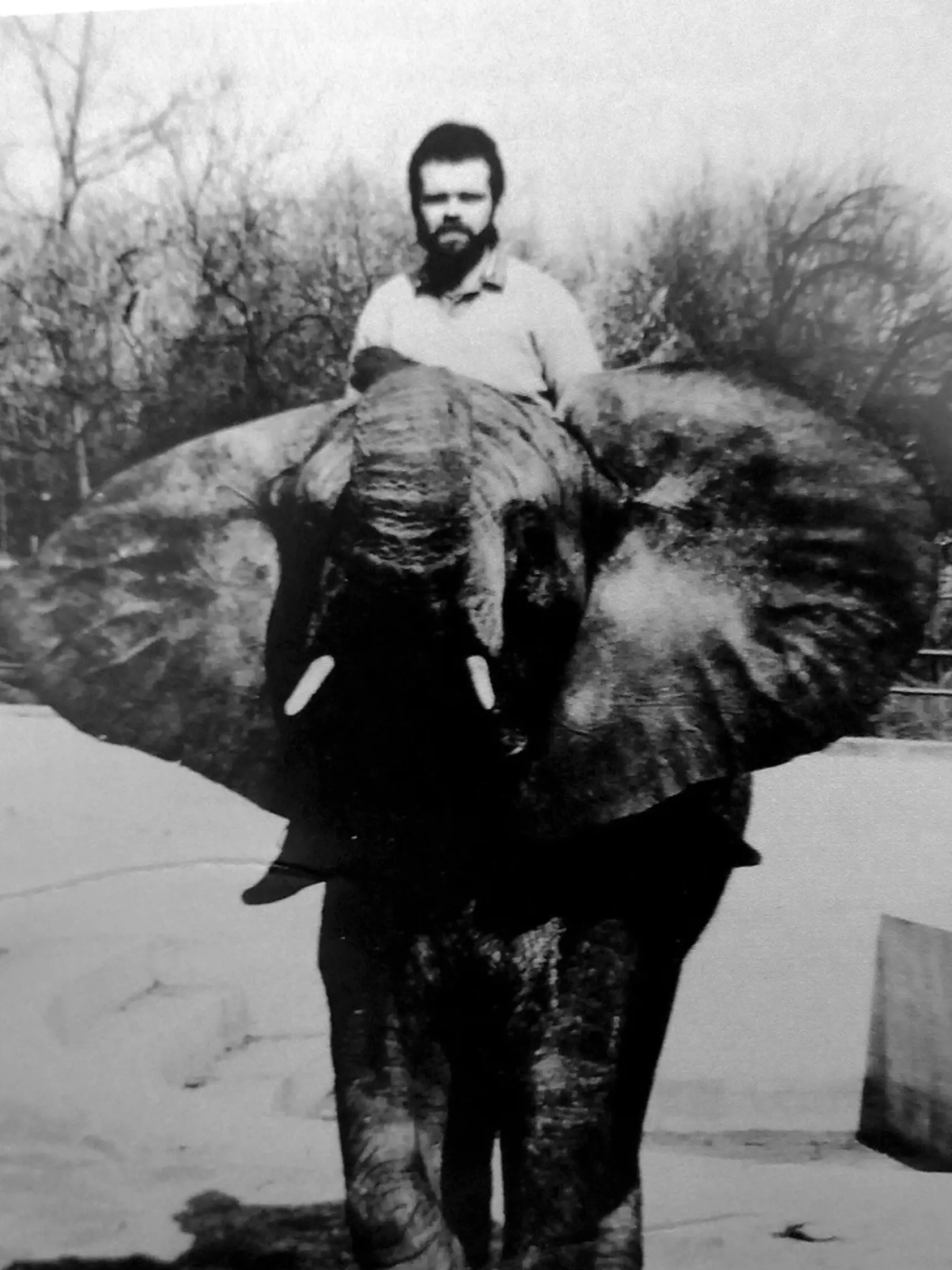 1984 - Maja a Guľa žíjú v ZOO už 31 rokov.