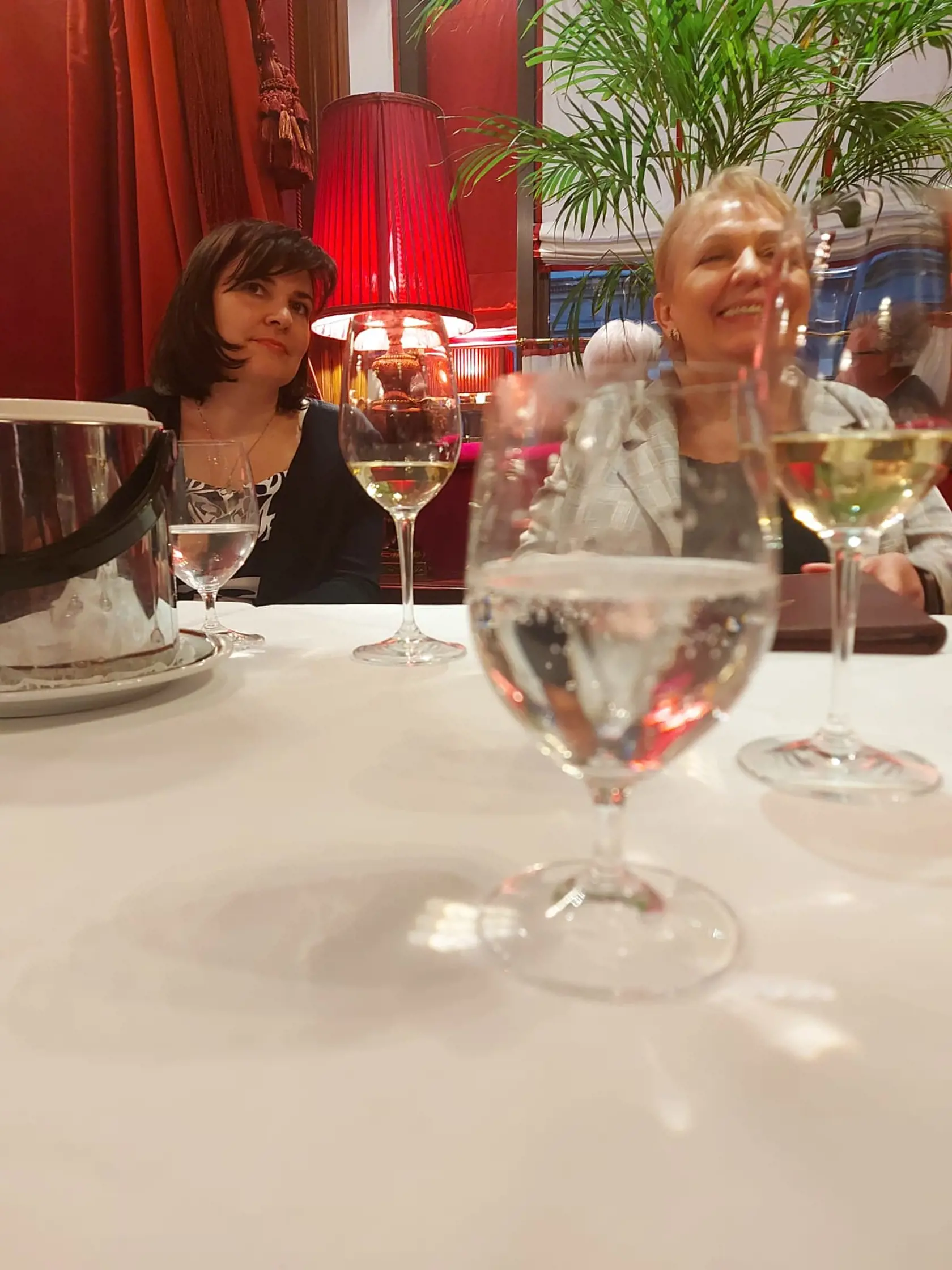 Rote Bar, v preklade Červený bar vo viedenskom hoteli Sacher je obľúbenou reštauráciou Viedenčanov.