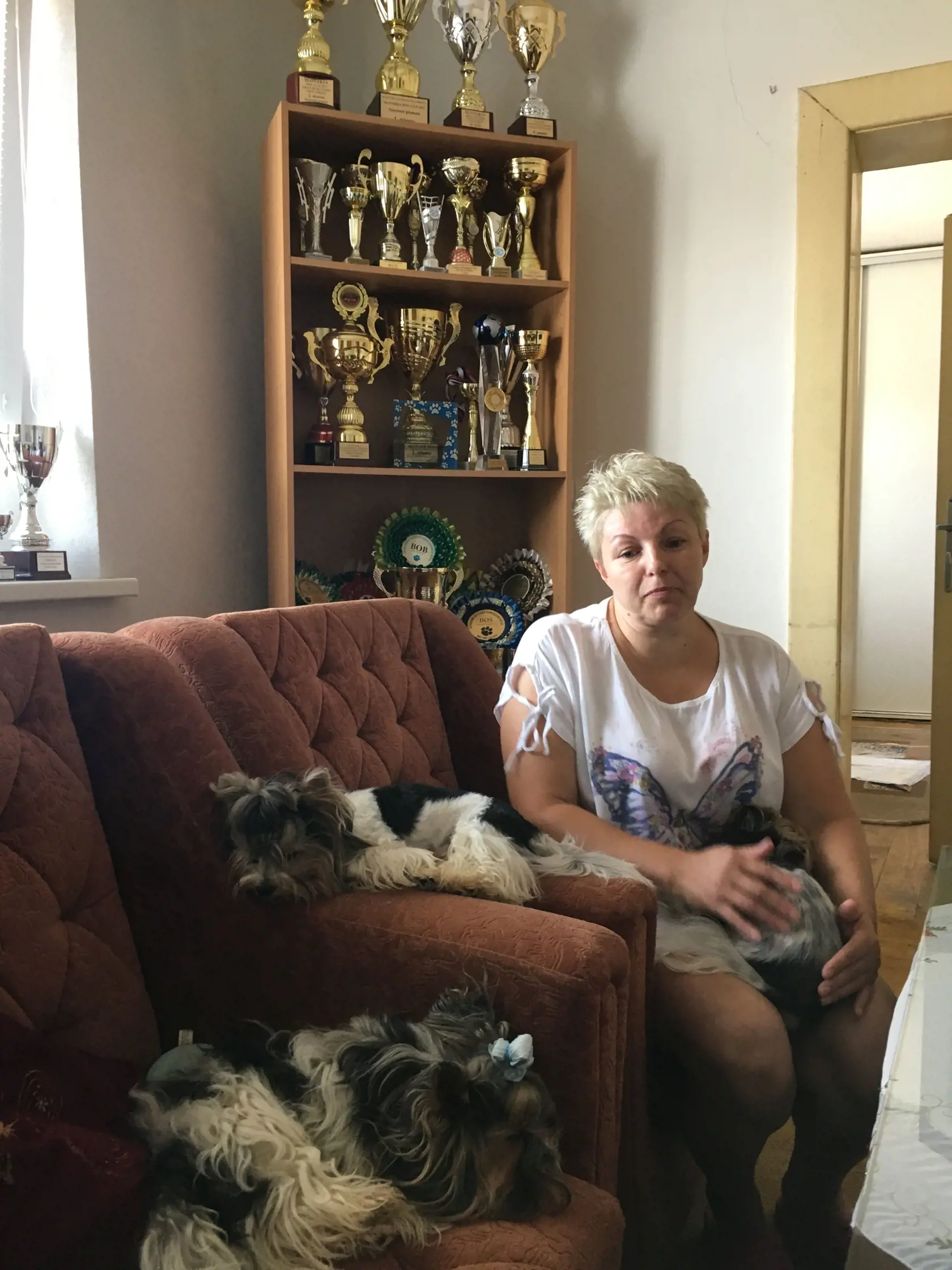 Božena má doma aj ďalších yorkšírov, El Nino bol však z nich najúspešnejší.