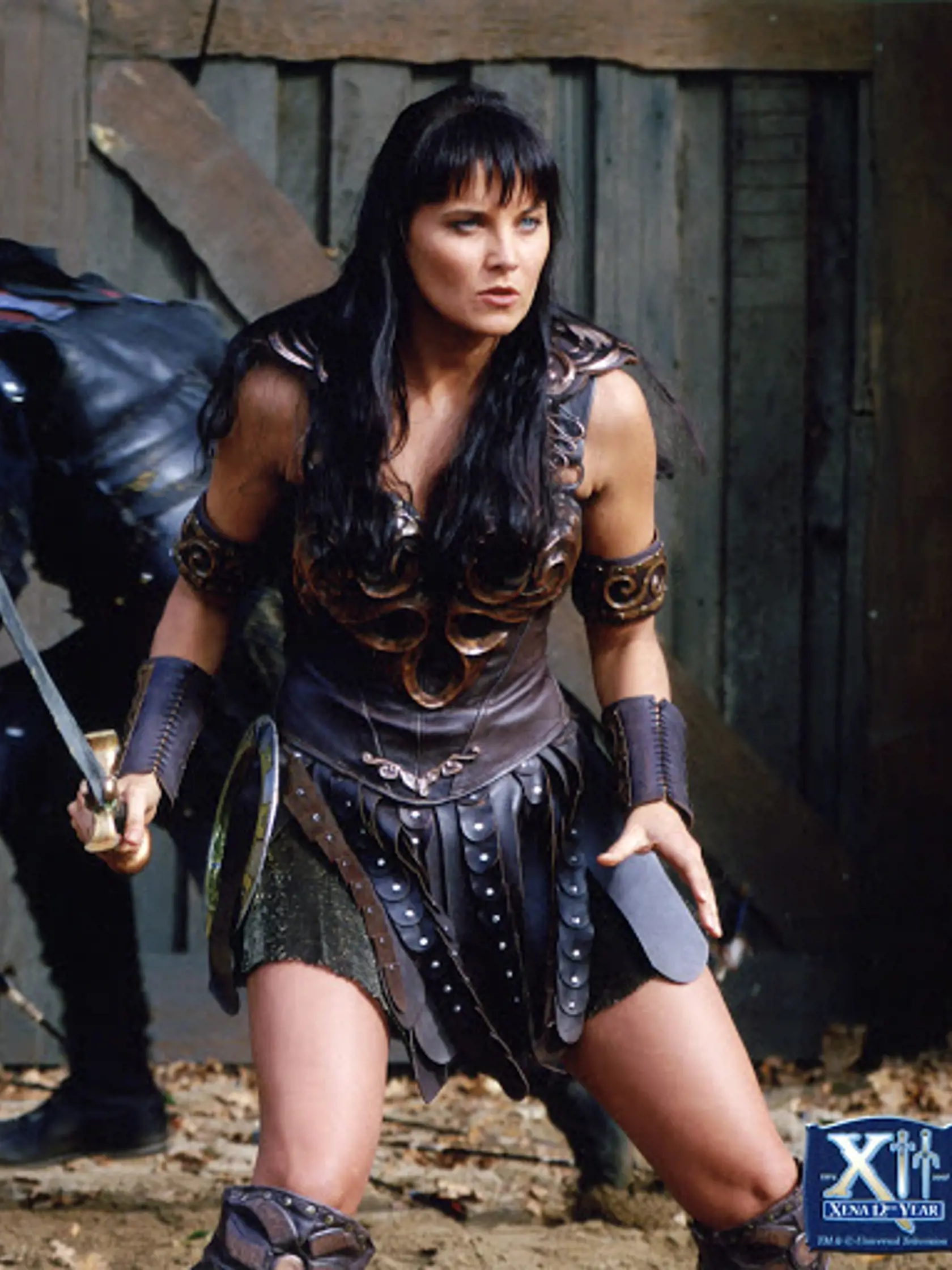 Xena sa k divákom dostala v šiestich sériách, celkovo vzniklo 134 častí seriálu.